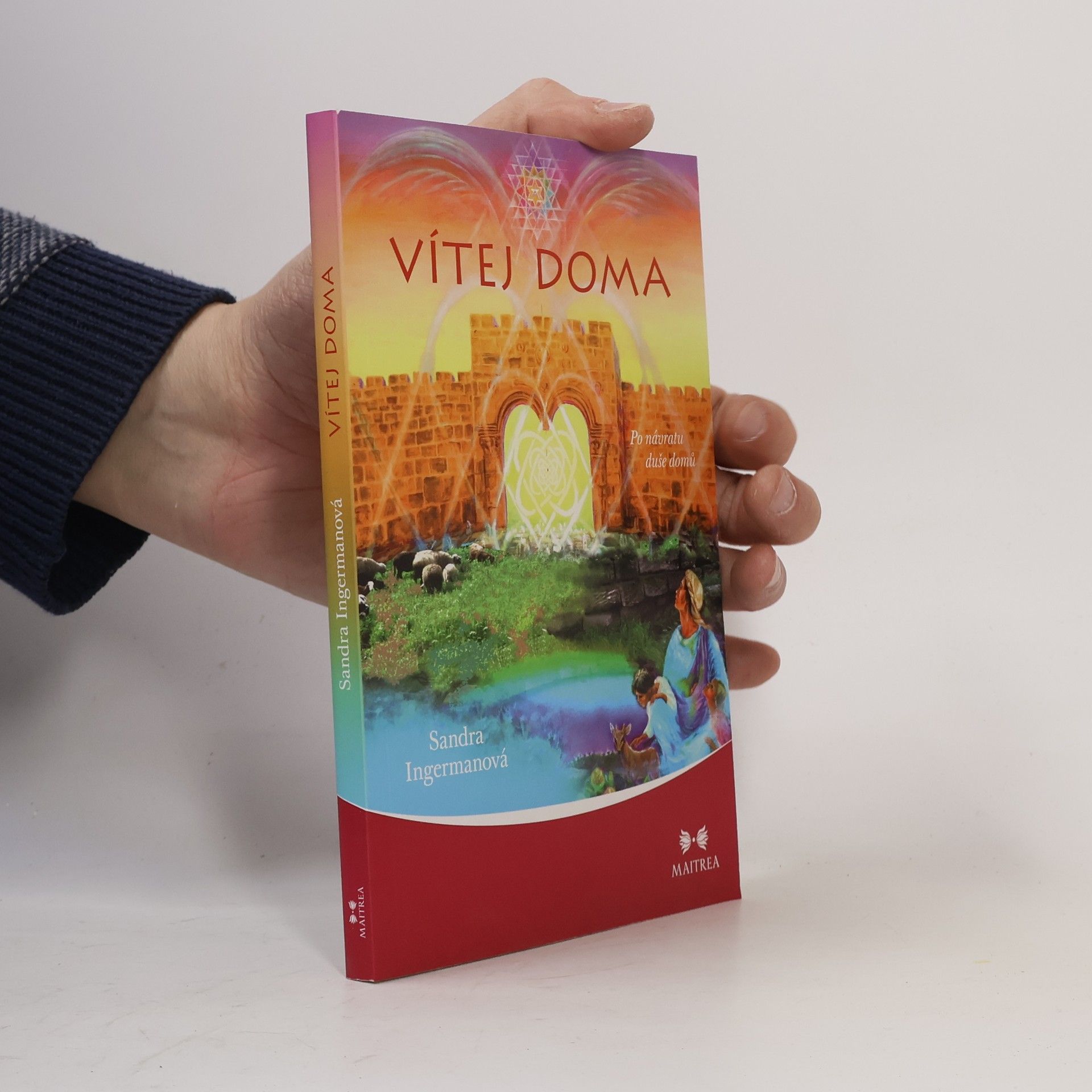 Sandra Ingerman Vítej doma - Po návratu duše domů