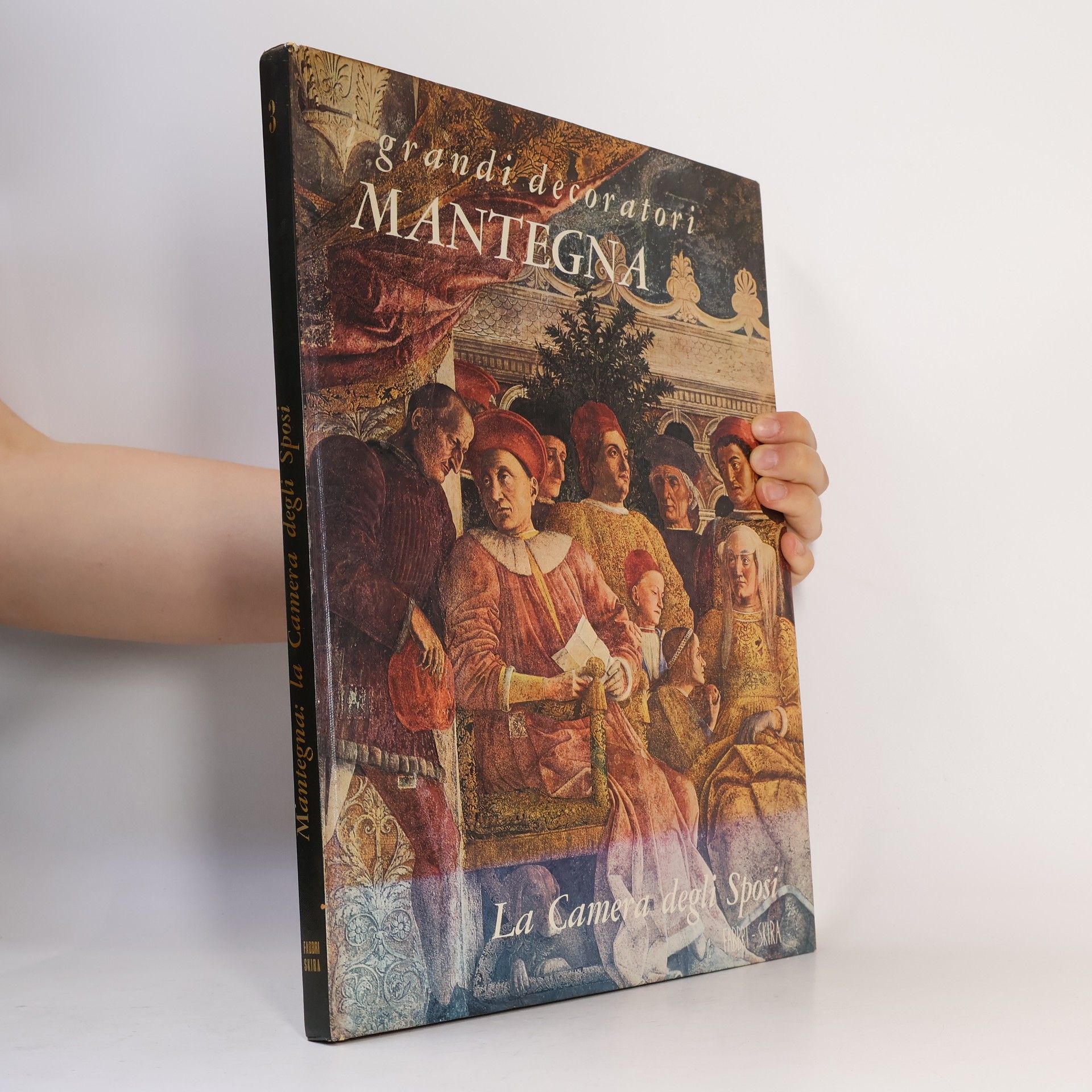 Kolektiv autorů I grandi decoratori 3. Mantegna - La Camera degli Sposi.