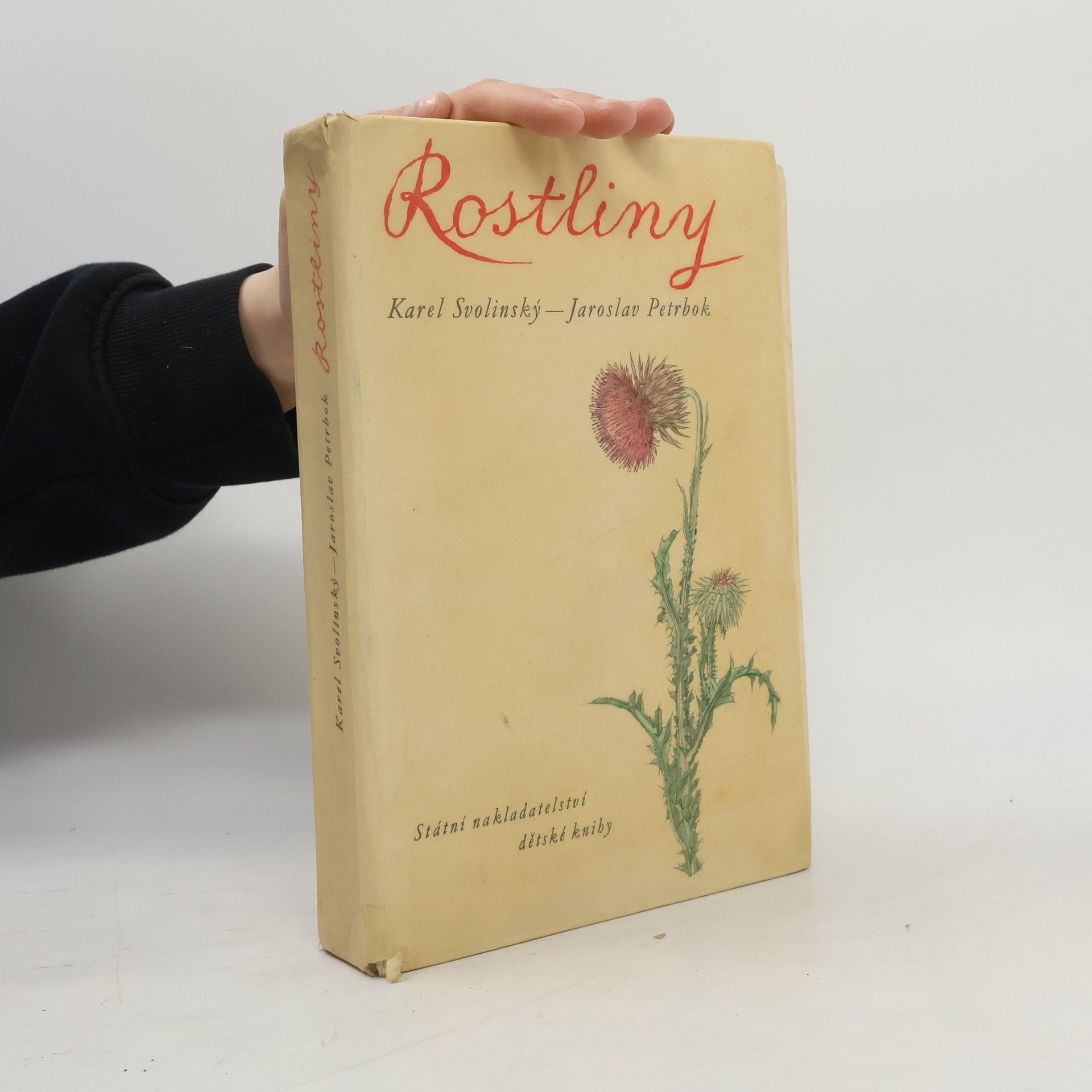 Rostliny