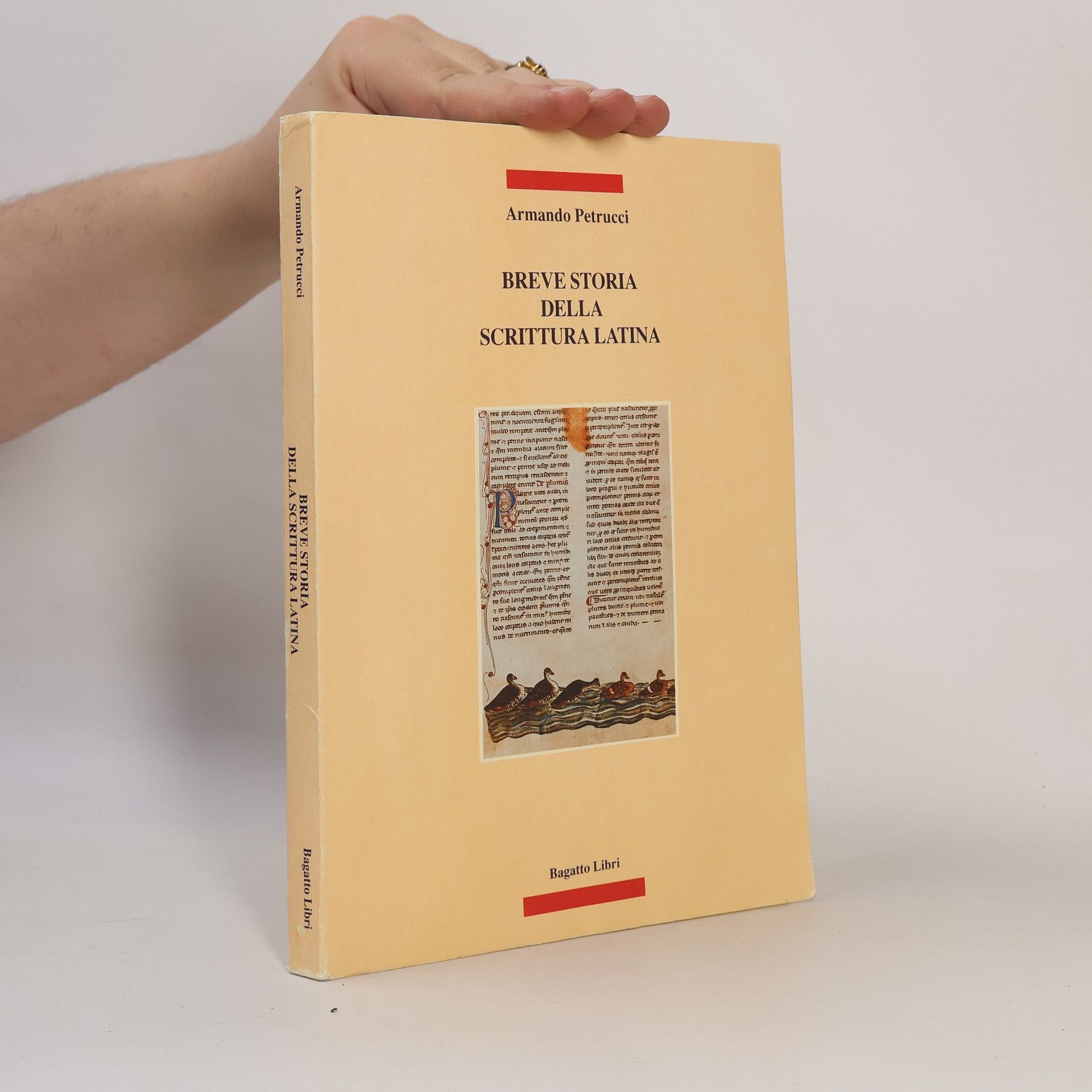 Breve storia della scrittura latina