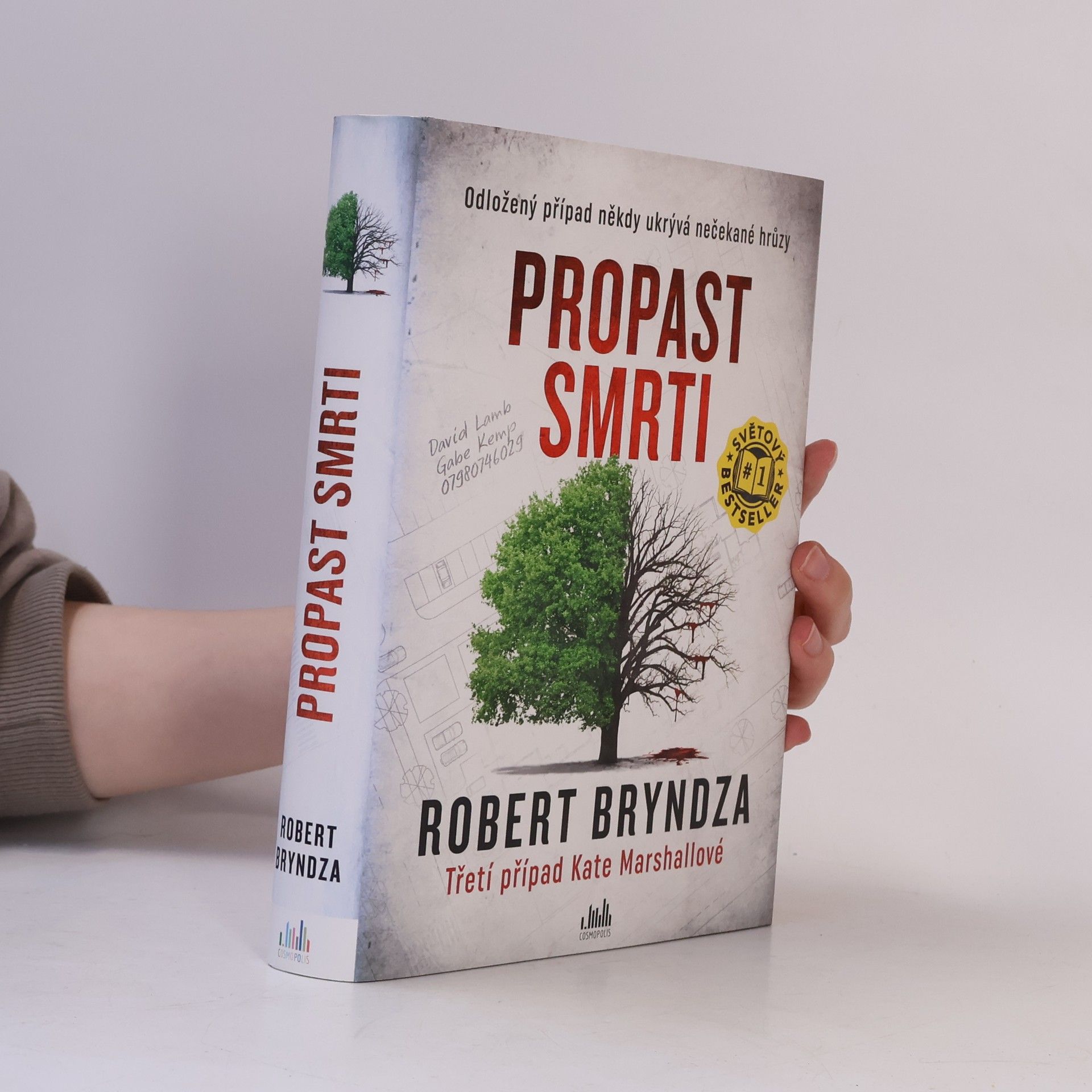 Robert Bryndza Propast smrti