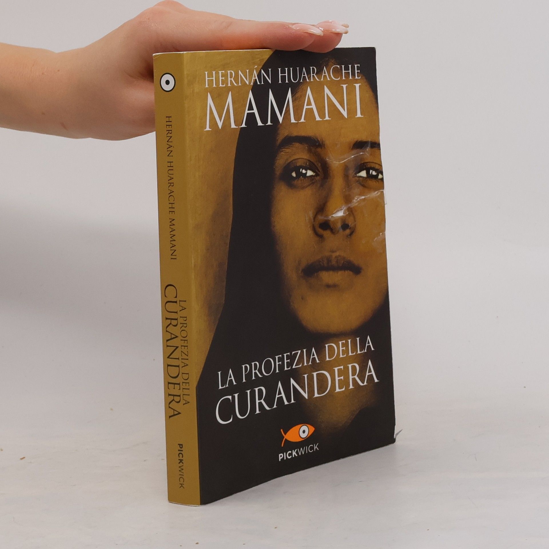 Hernán Huarache Mamani La profezia della curandera