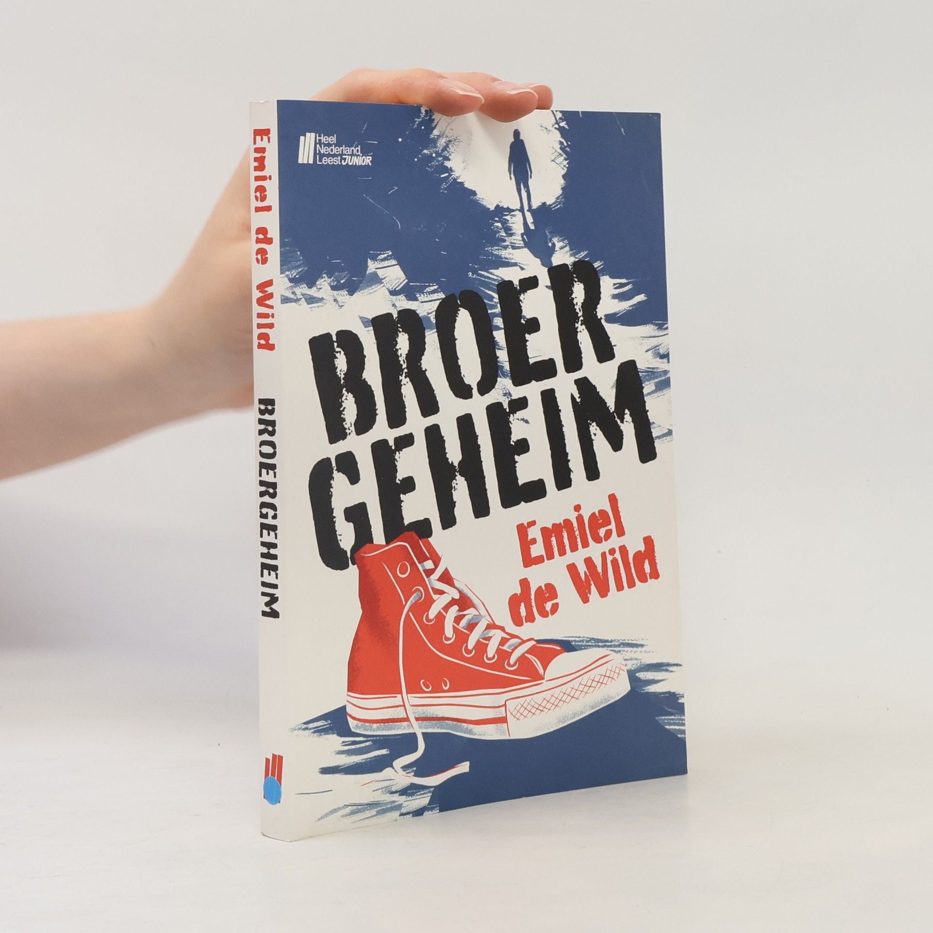 Emiel de Wild Broergeheim