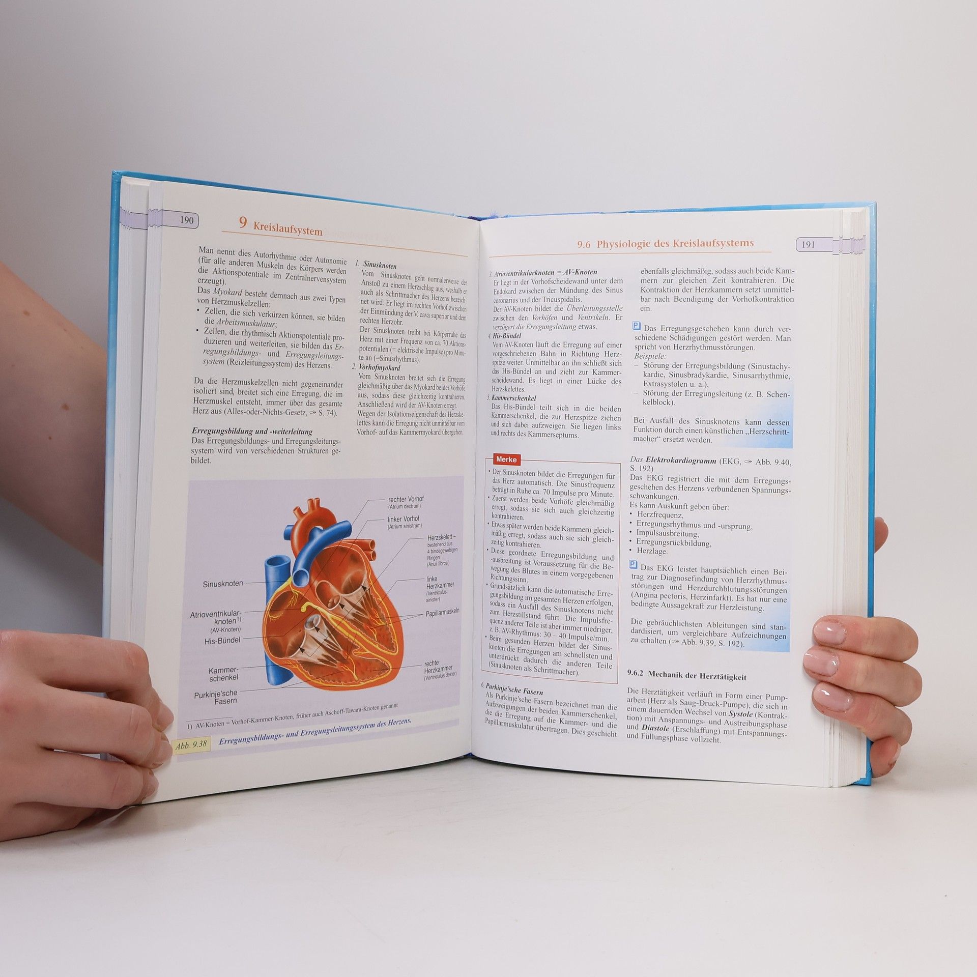 Biologie, Anatomie, Physiologie