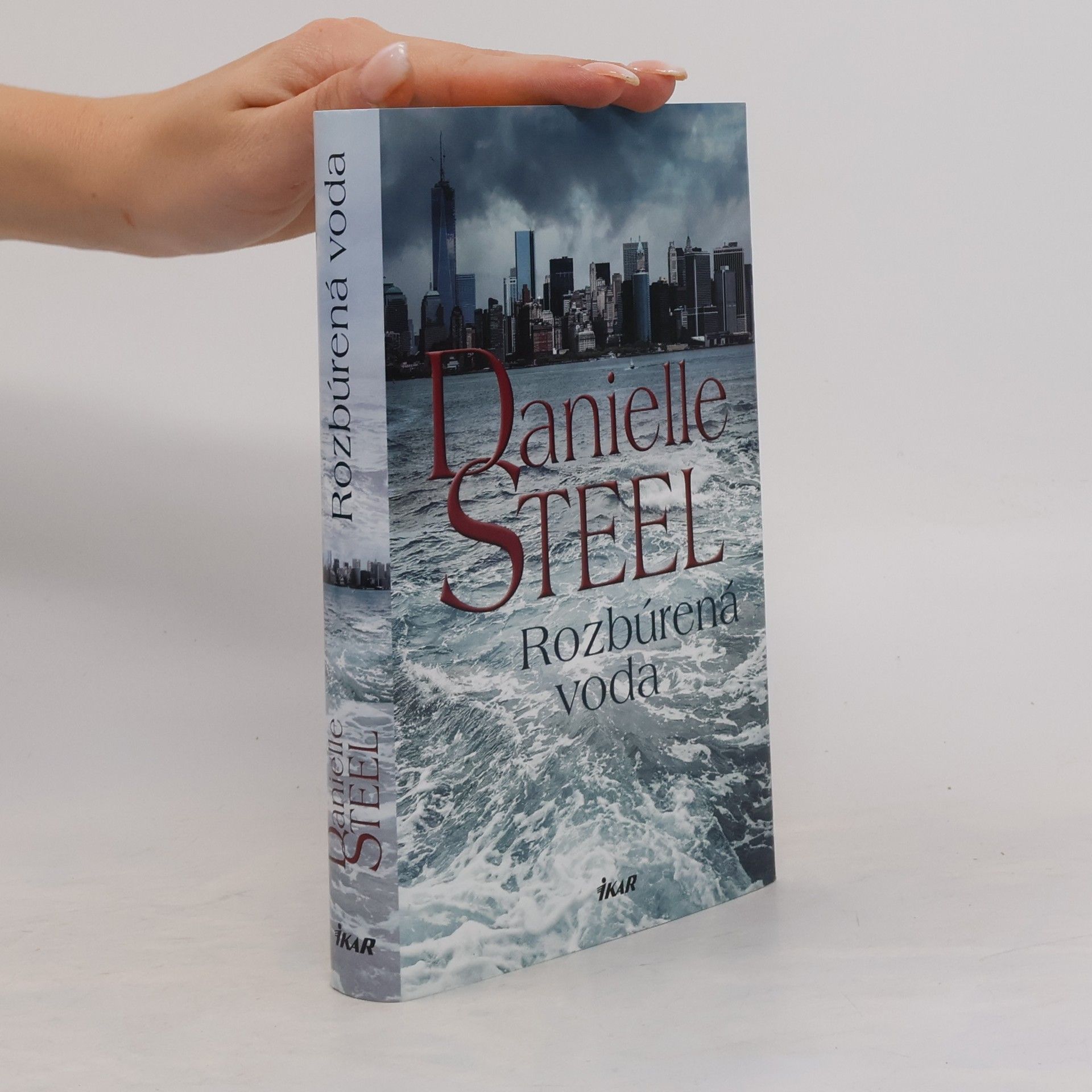 Danielle Steel Rozbúrená voda
