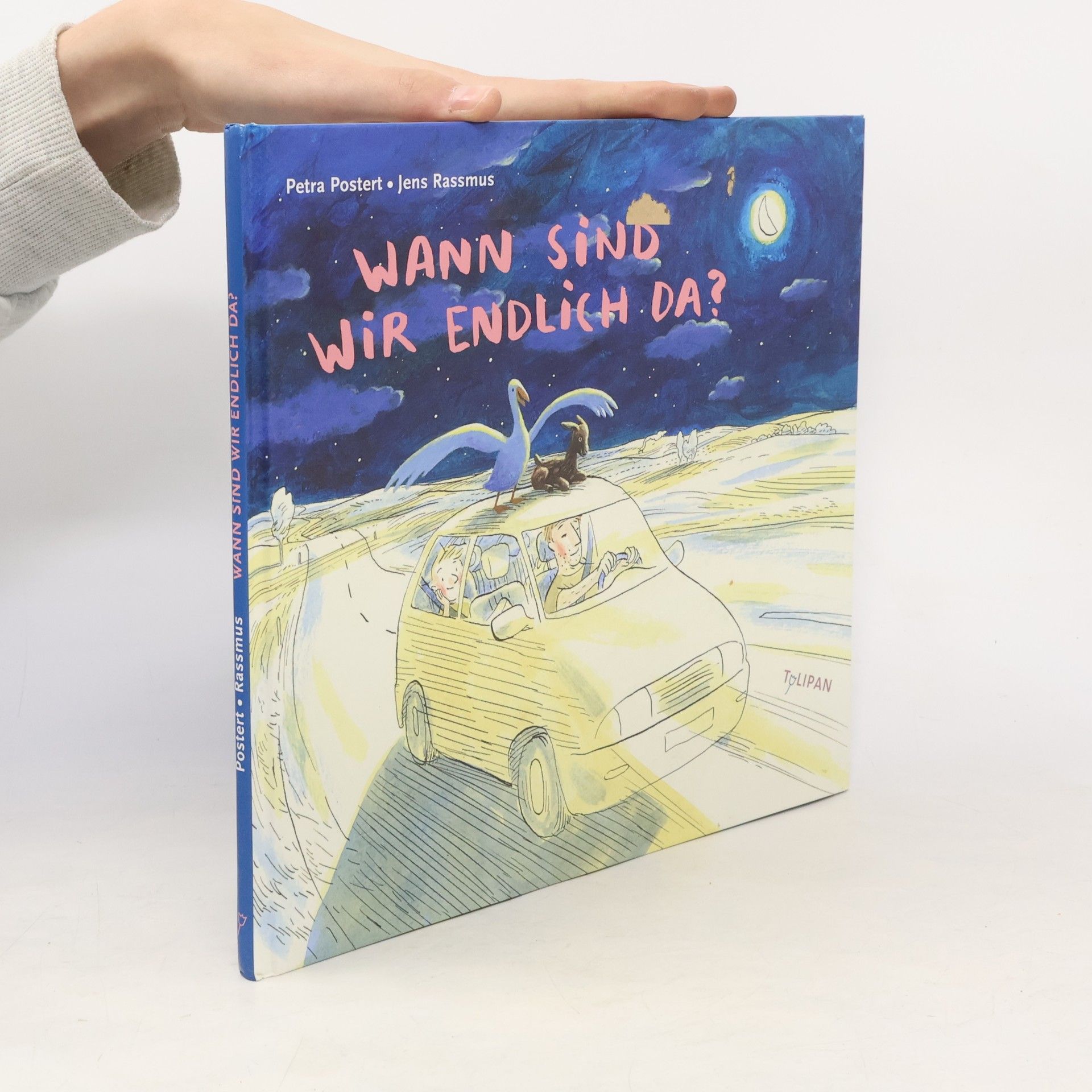 Petra Postert Wann sind wir endlich da?