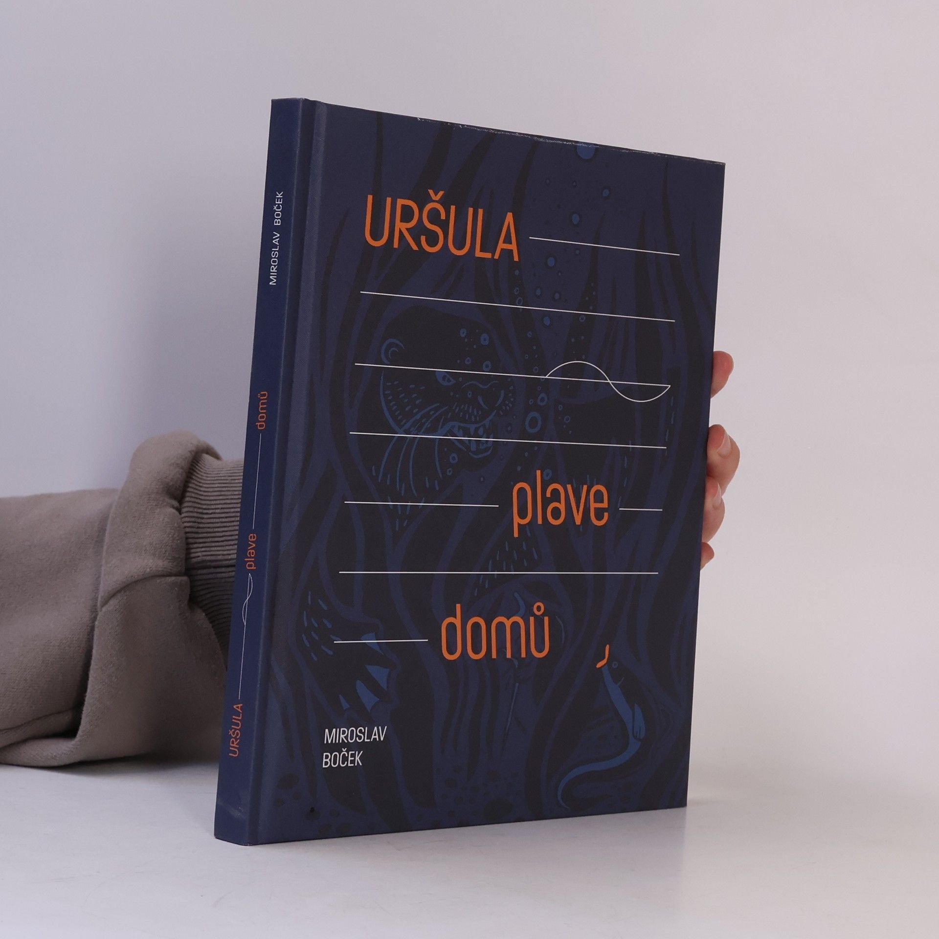 Miroslav Boček Uršula plave domů