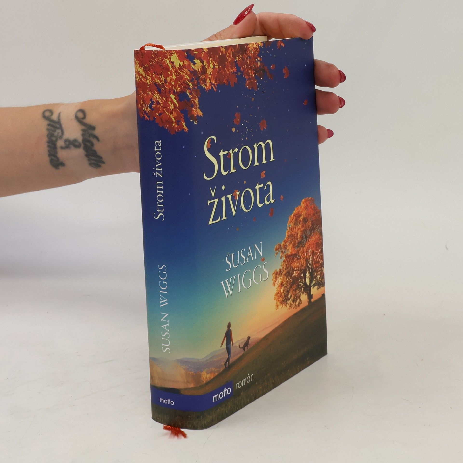Susan Wiggs Strom života