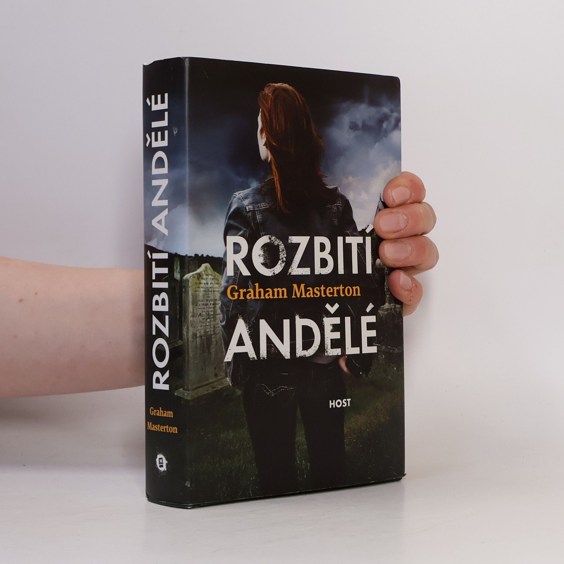 Graham Masterton Rozbití andělé