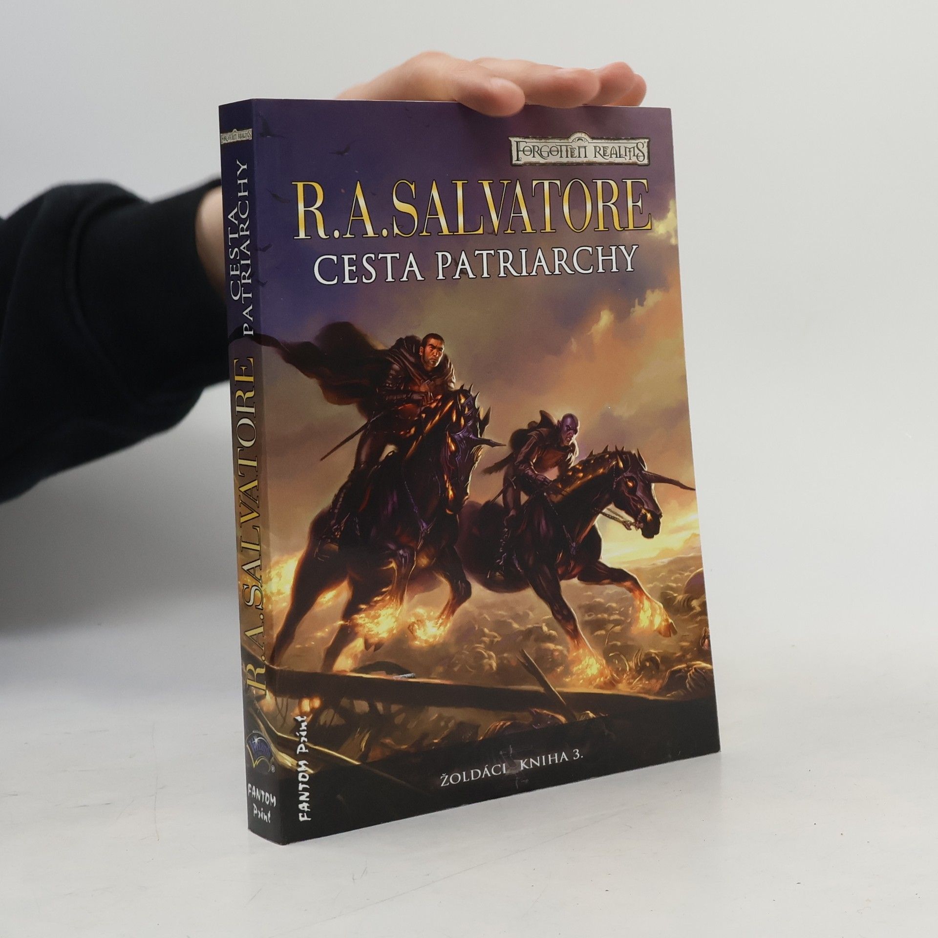 R. A. Salvatore Žoldáci. Kniha 3., Cesta patriarchy