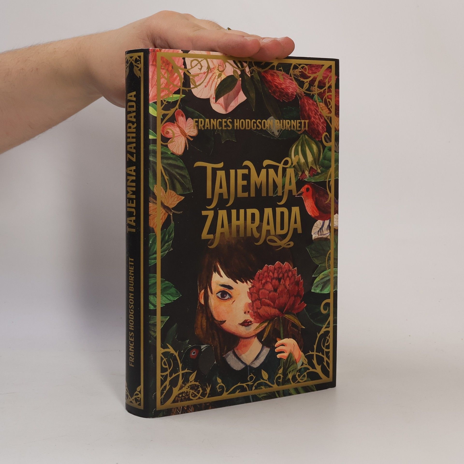 Frances Hodgson Burnett Tajemná zahrada