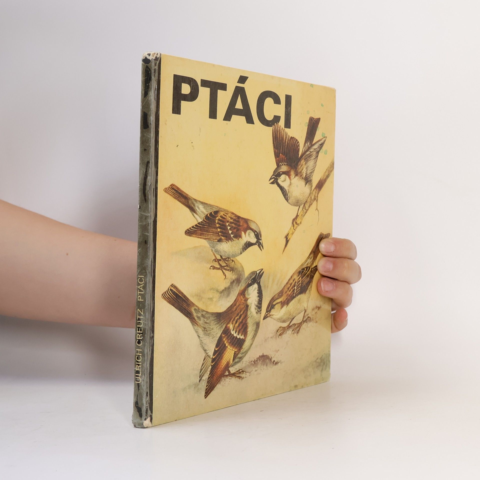 Ulrich Creutz Ptáci