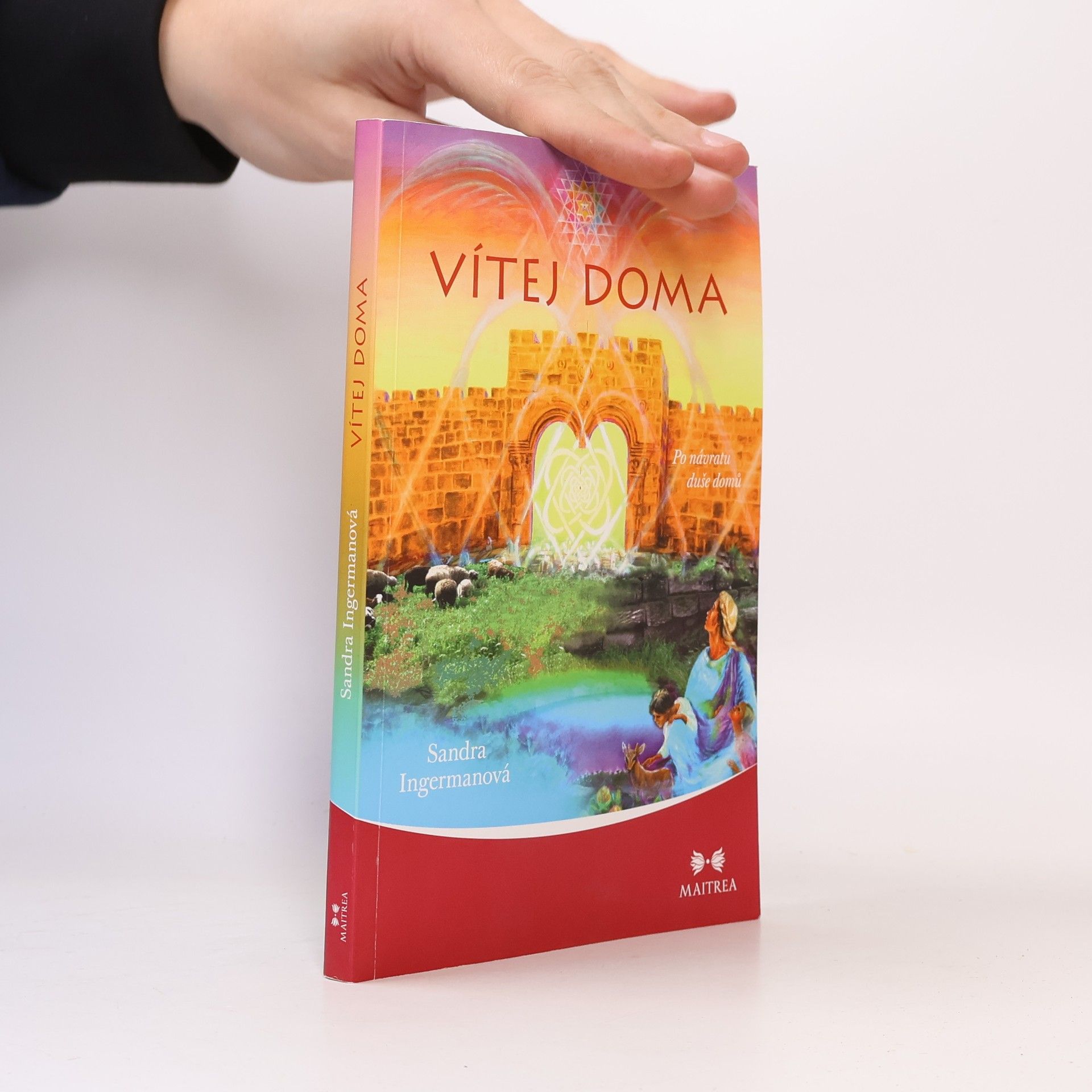 Sandra Ingerman Vítej doma - Po návratu duše domů