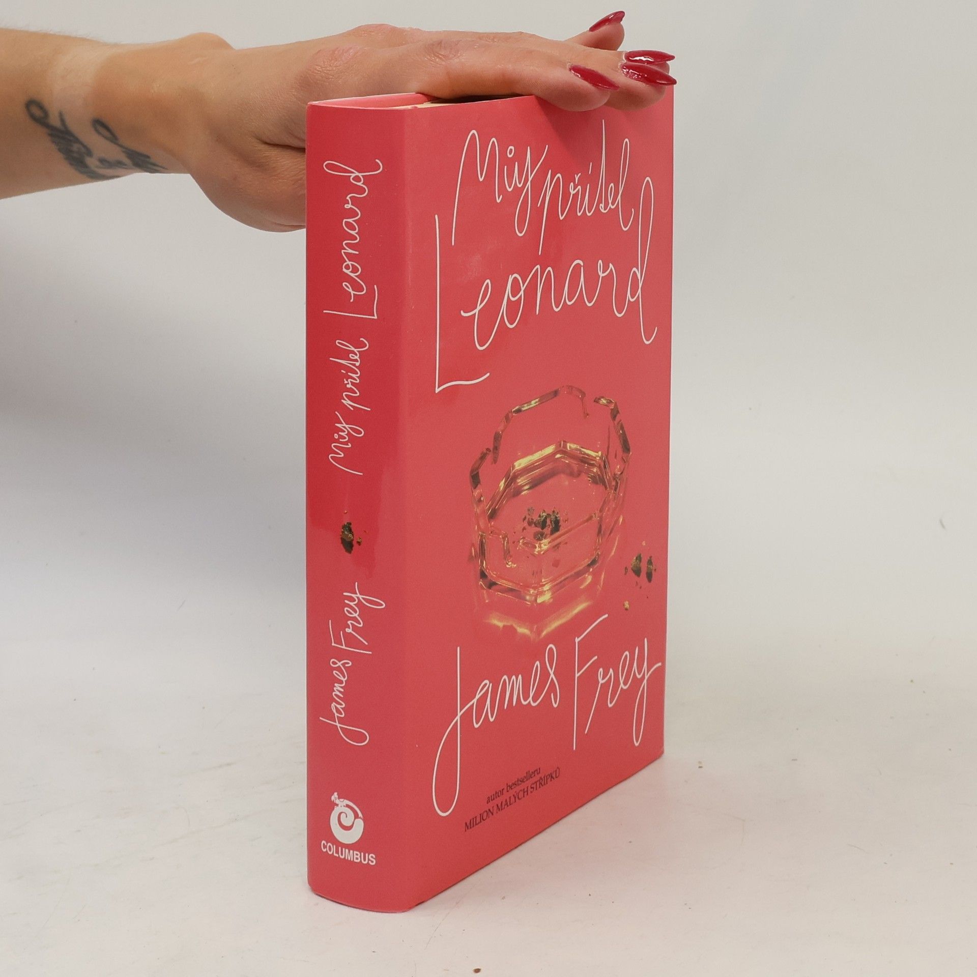 James Frey Můj přítel Leonard