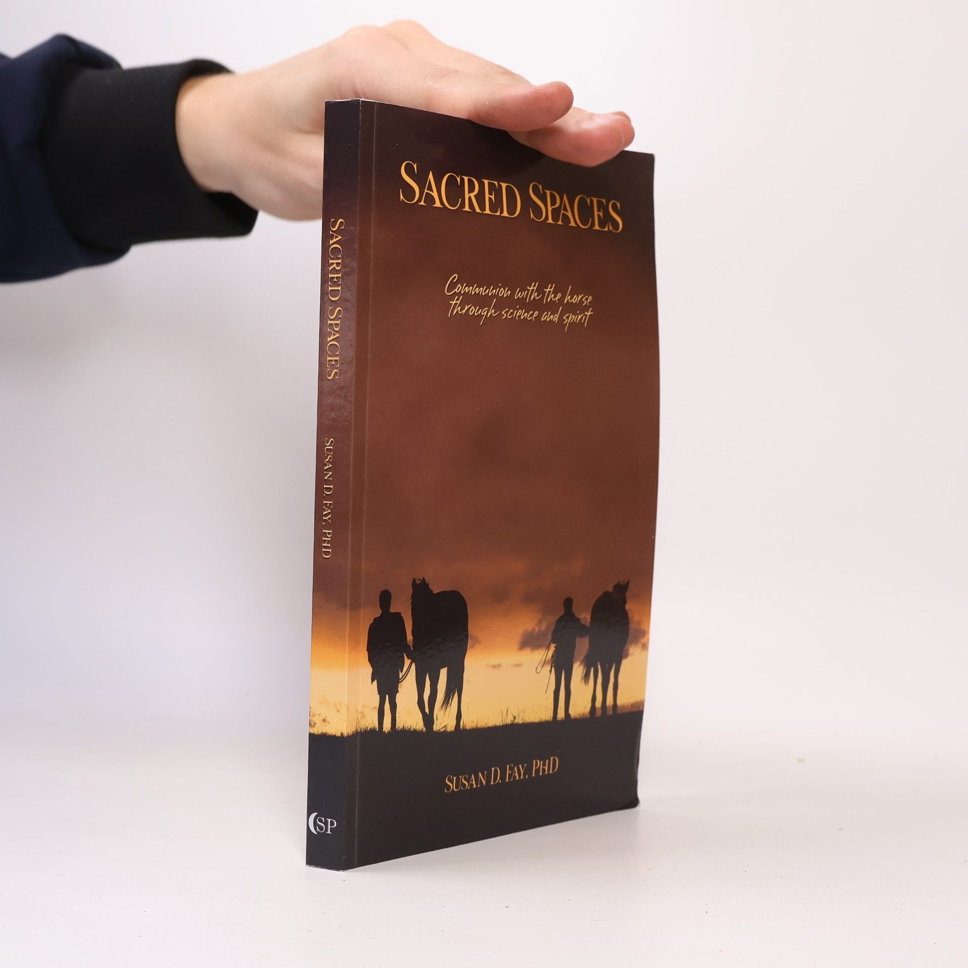 Susan D. Fay Sacred Spaces
