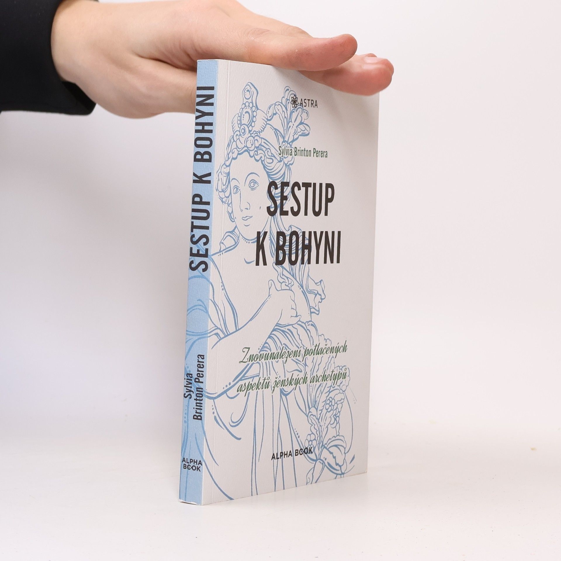 Sylvia Brinton Perera Sestup k bohyni