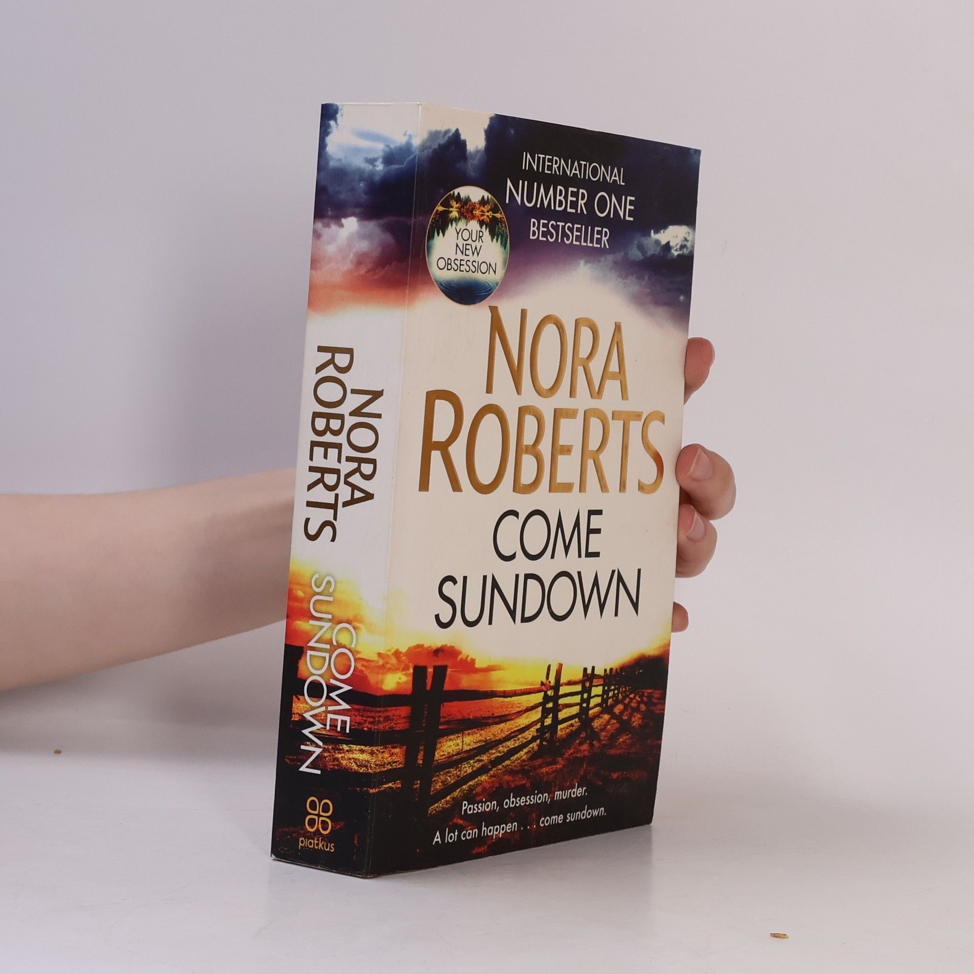 Nora Roberts Come sundown
