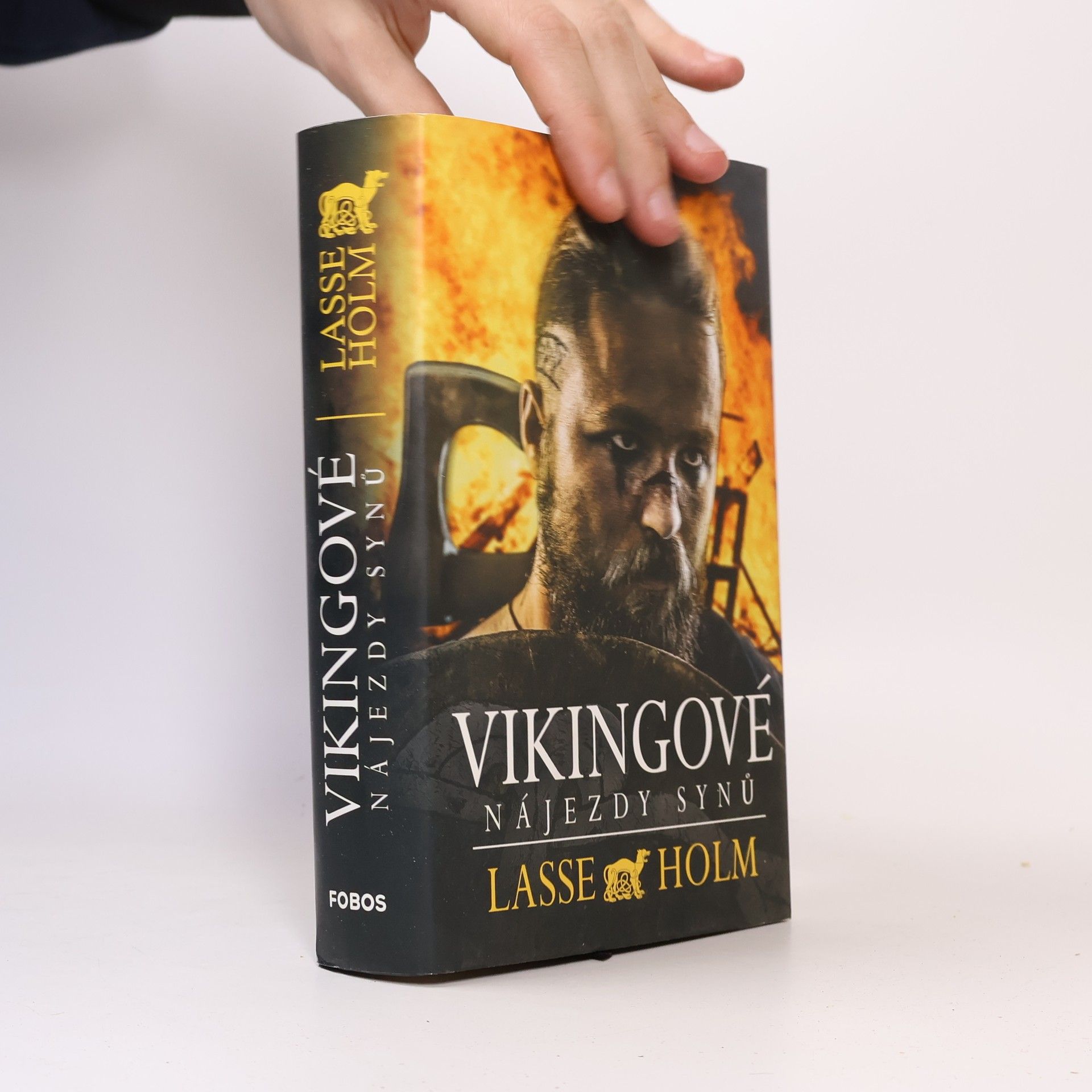 Miroslava Gajzlerová Vikingové. Nájezdy synů