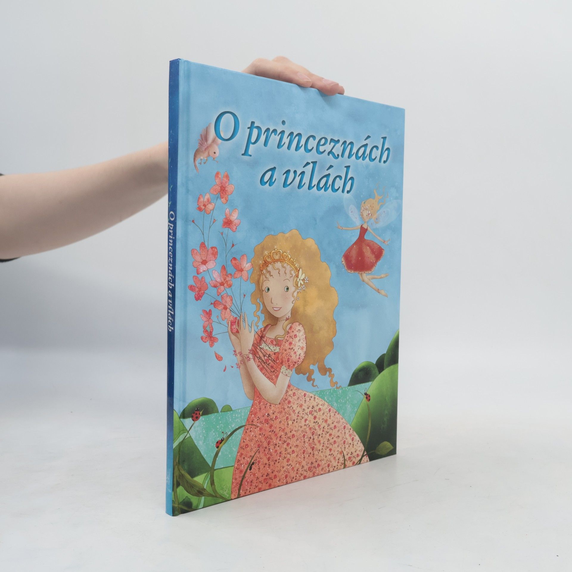 Autorenkollektiv O princeznách a vílách