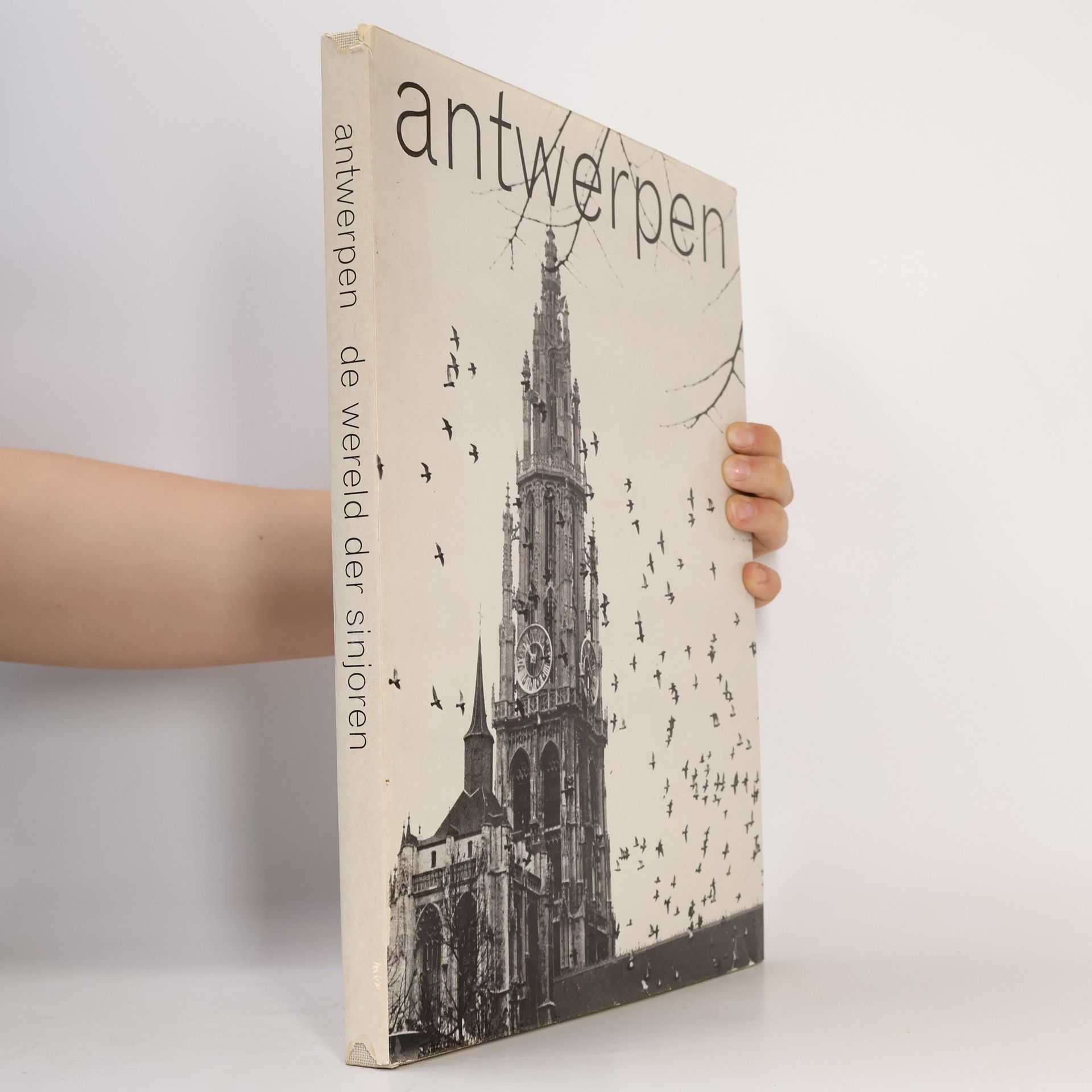 Nic van Bruggen Antwerpen - De wereld der sinjoren