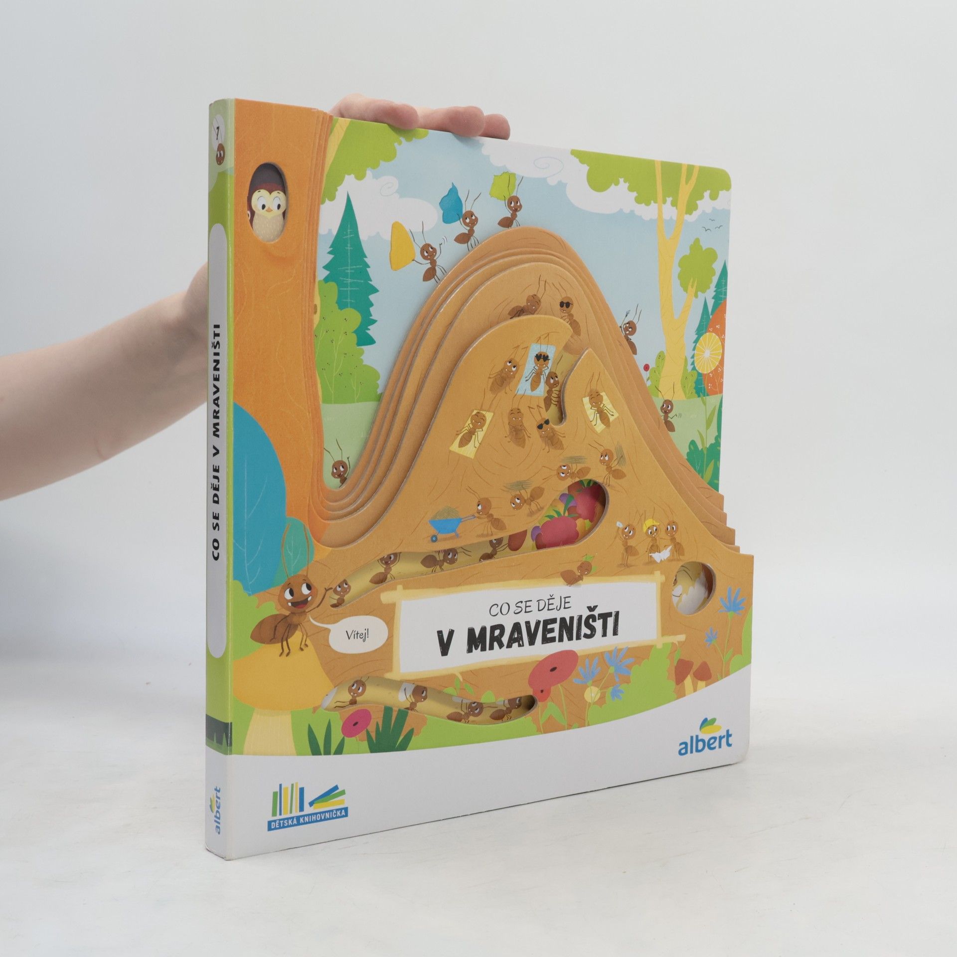 Autorenkollektiv Co se děje v mraveništi