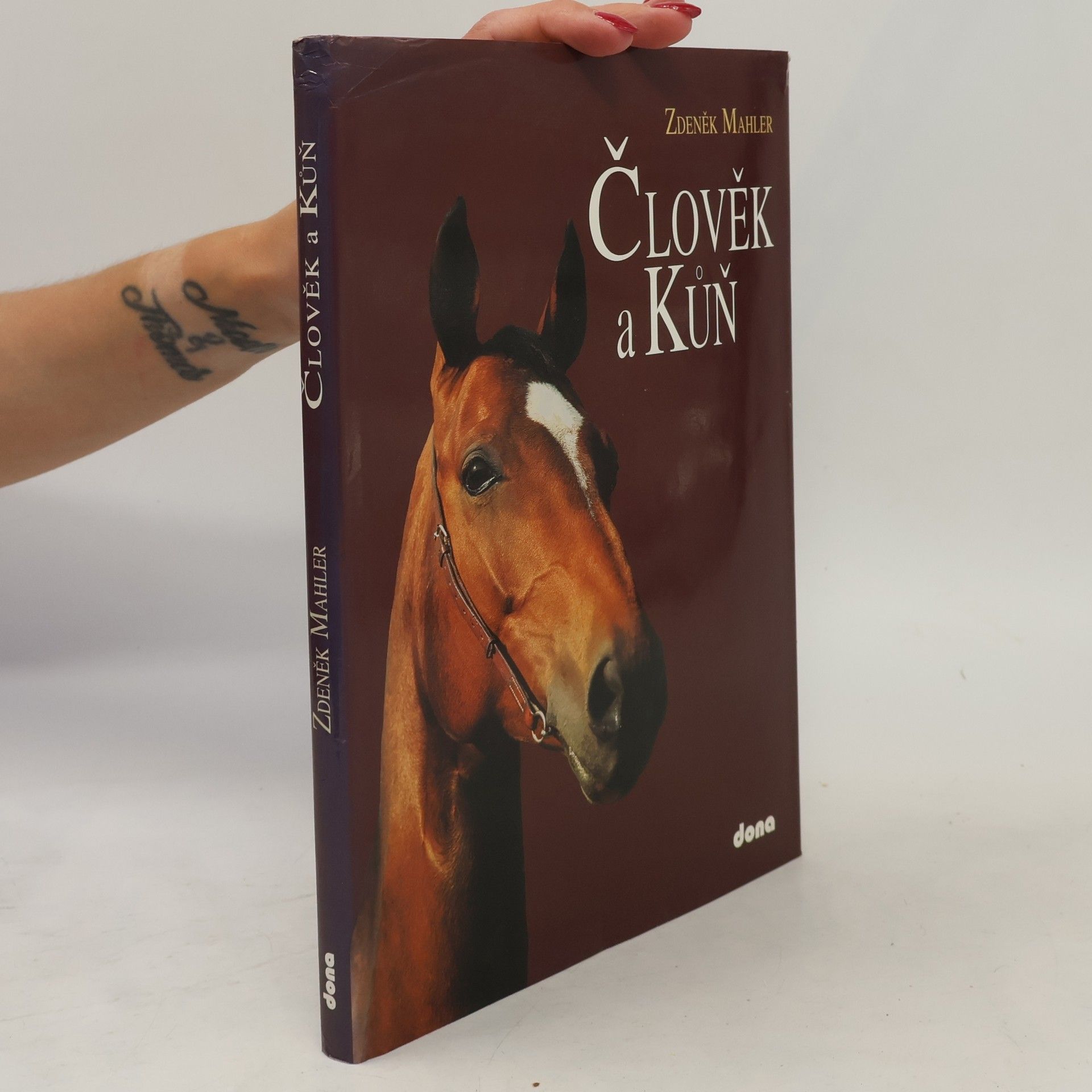 Jiří Jabulka Člověk a kůň