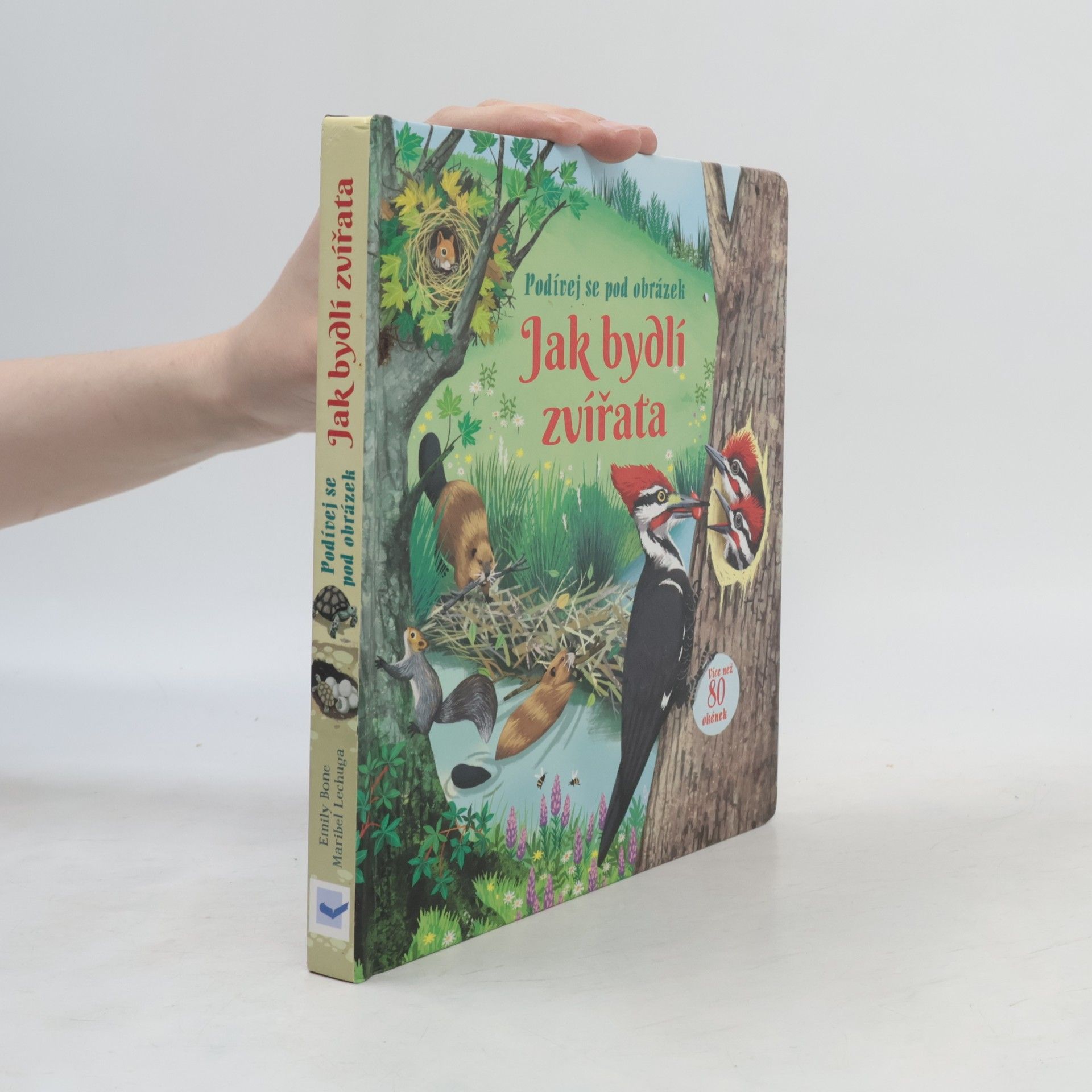Emily Bone Podívej se pod obrázek: Jak bydlí zvířata