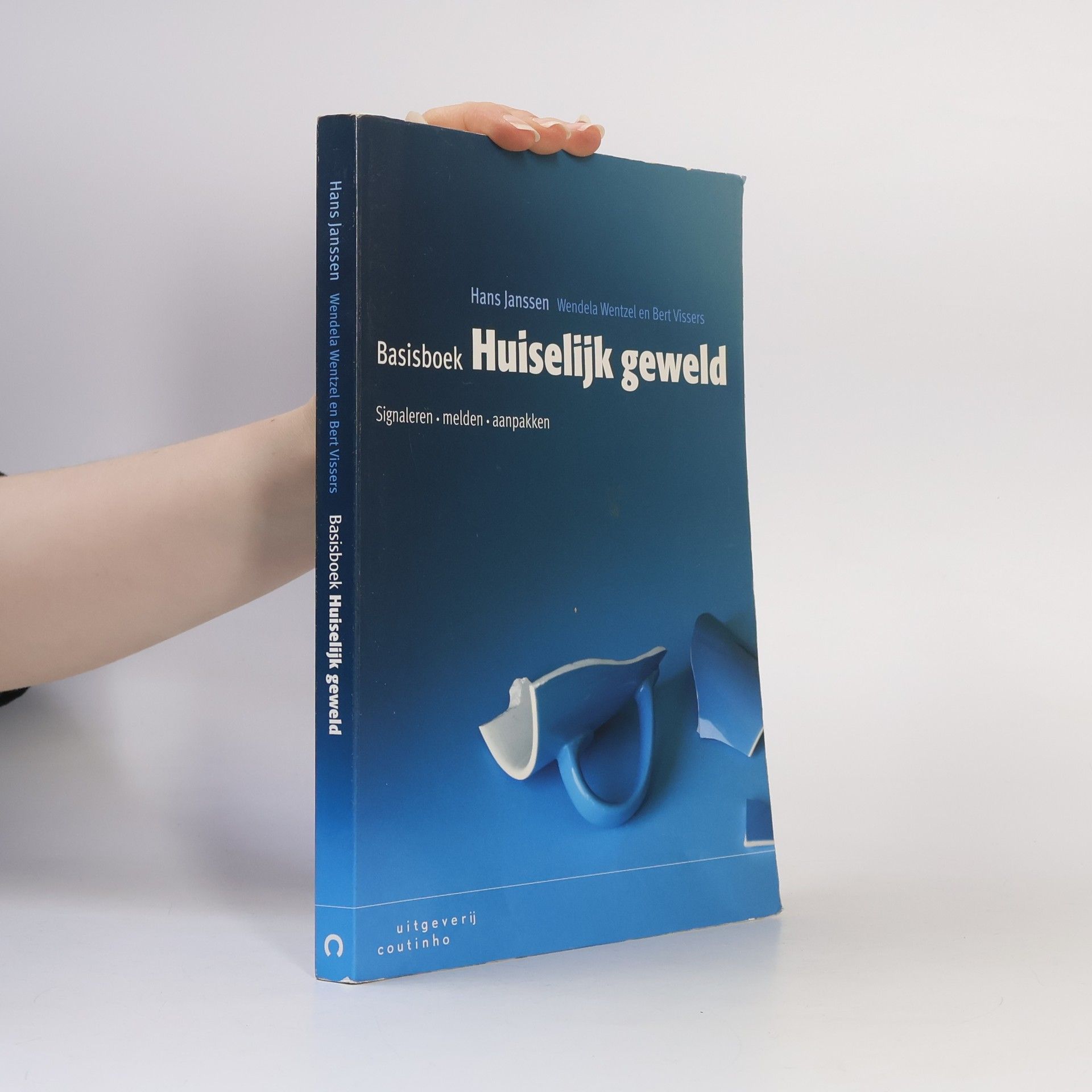 Wendela Wentzel en Bert Vissers Basisboek Huiselijk geweld