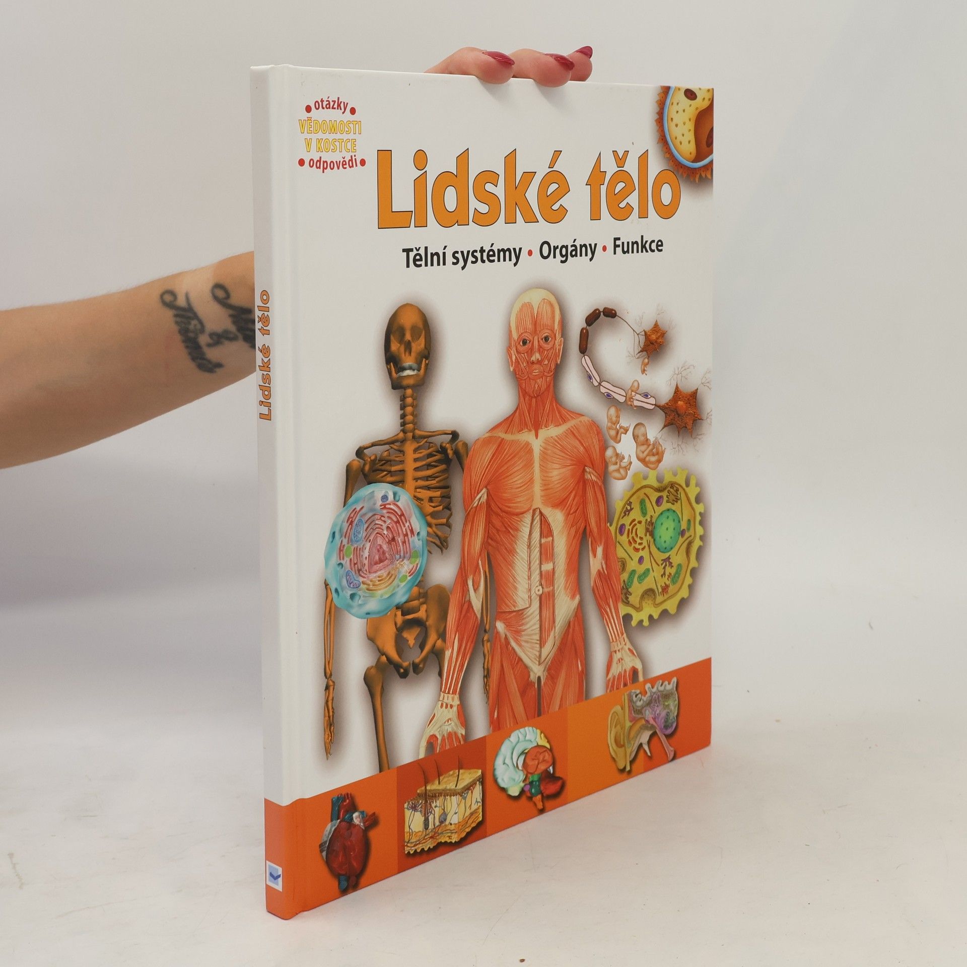 Auteurscollectief Lidské tělo : orgány, tělní systémy, funkce