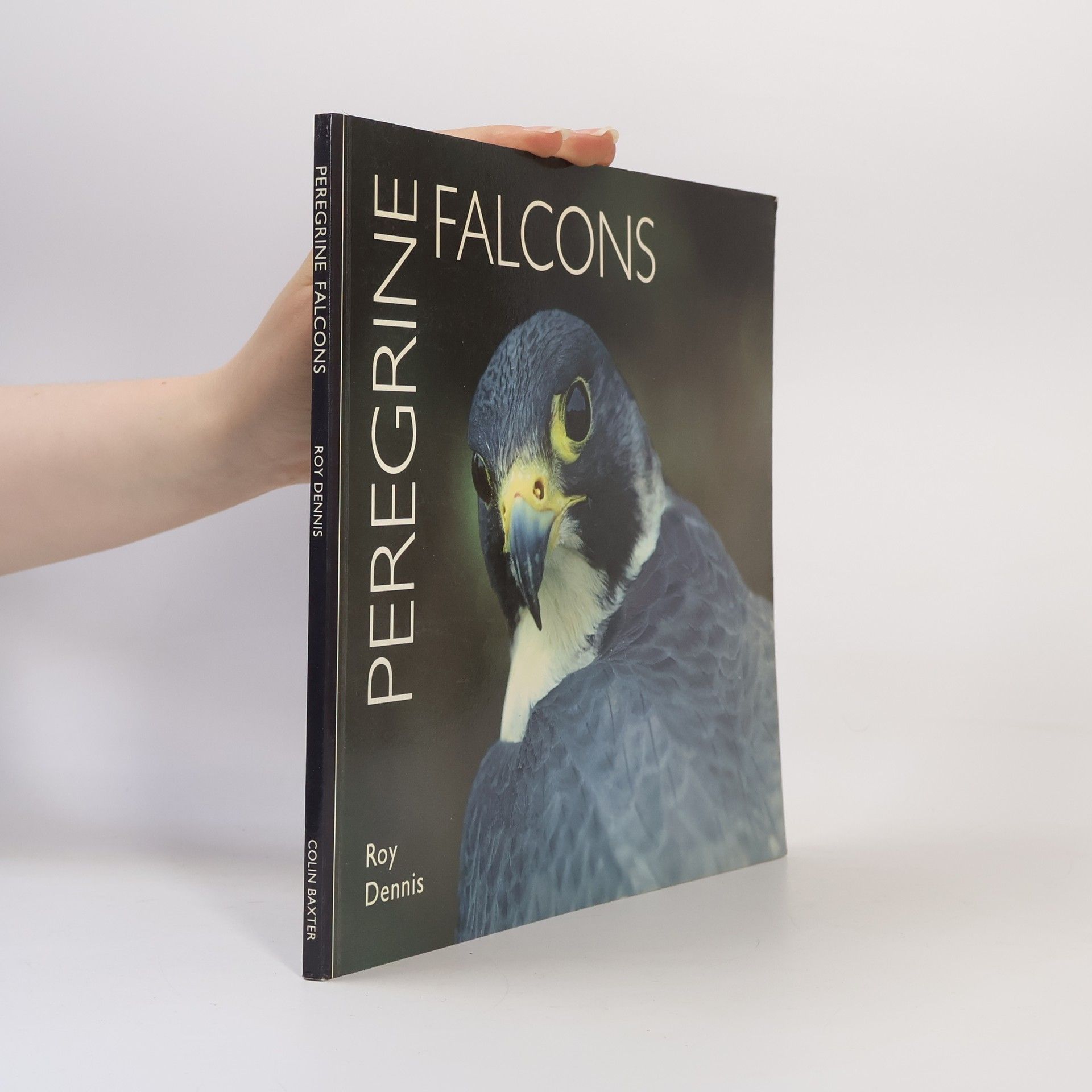 Worldlife Library: Peregrine Falcons