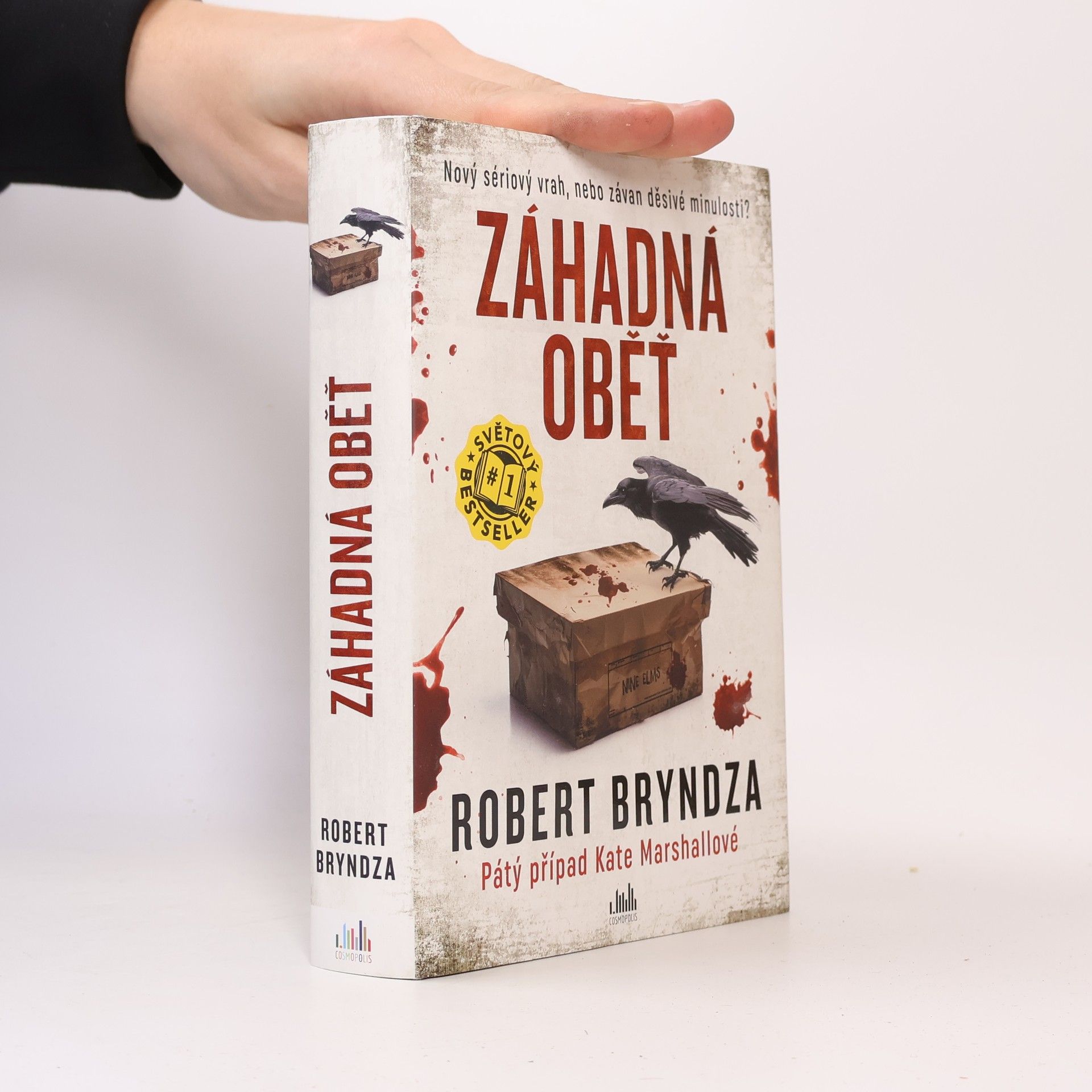 Robert Bryndza Záhadná oběť