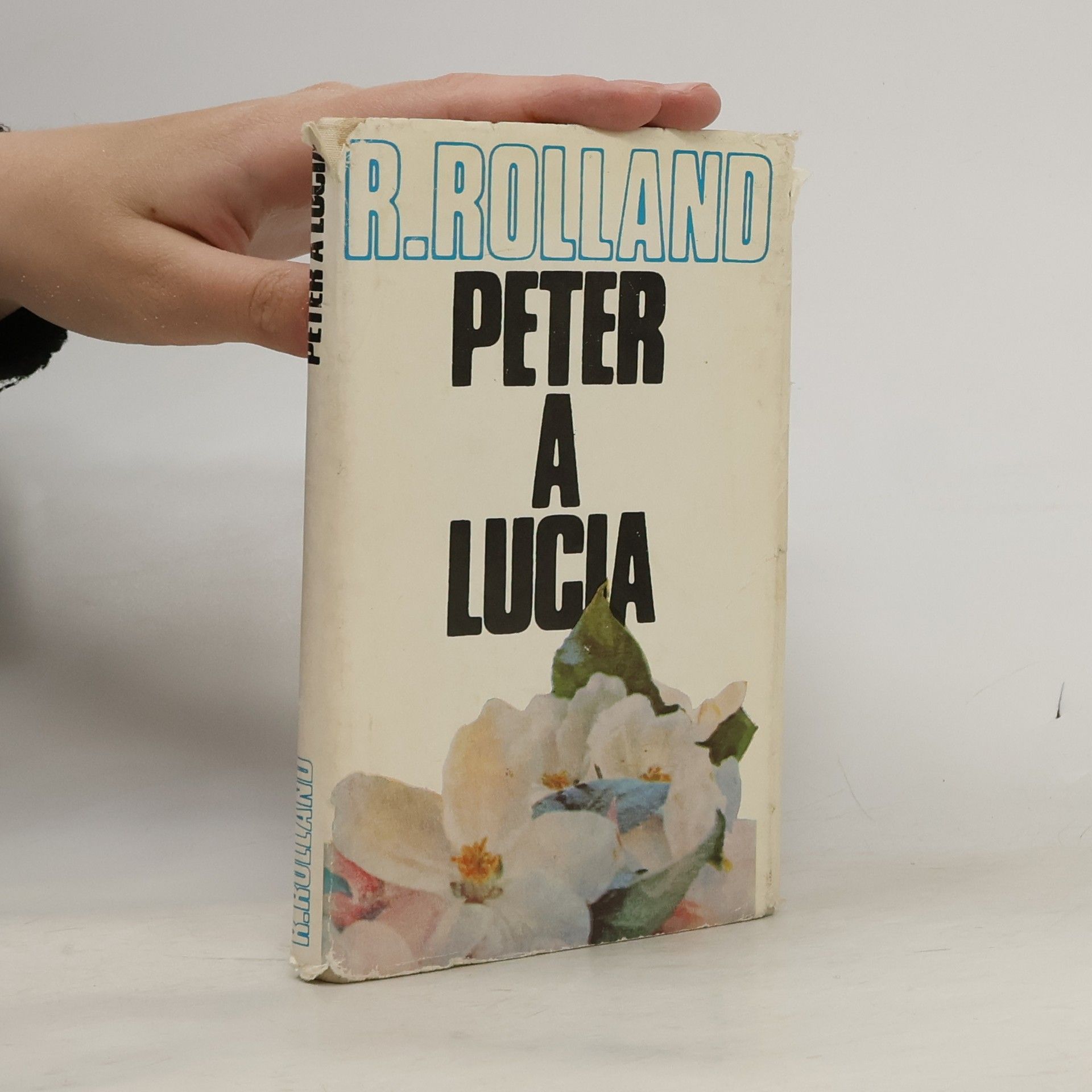 Romain Rolland Petr a Lucia