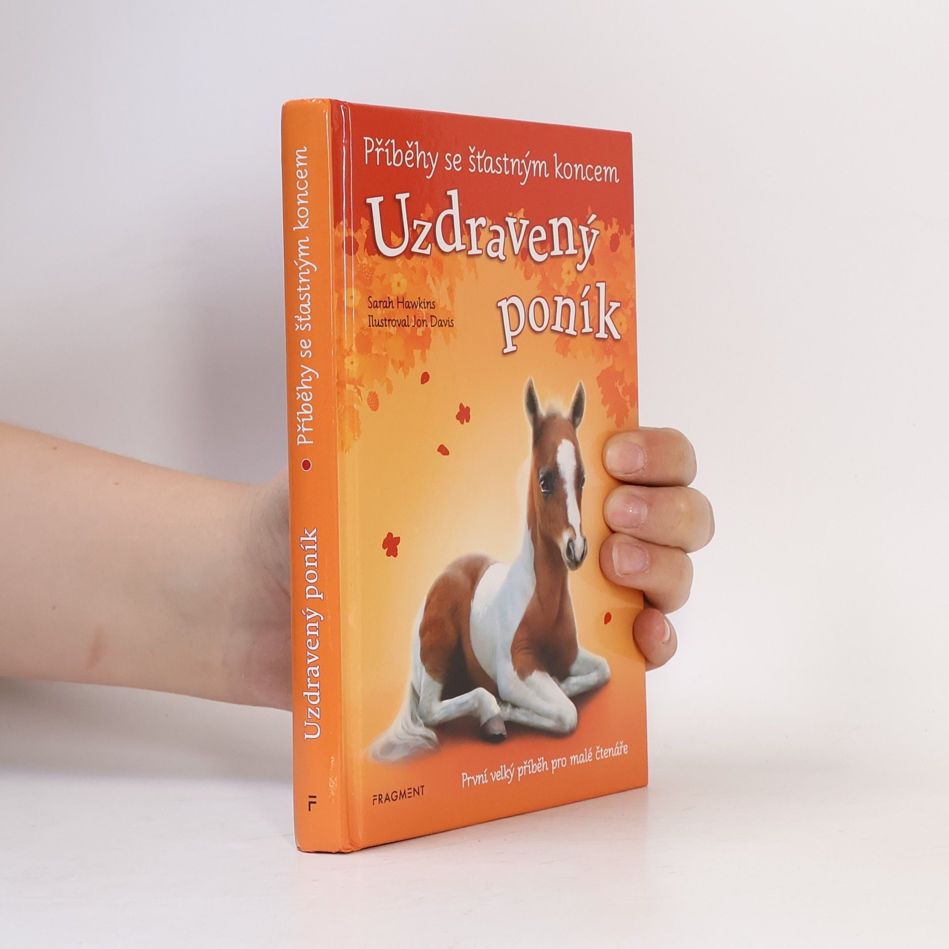 Sarah Hawkins Uzdravený poník