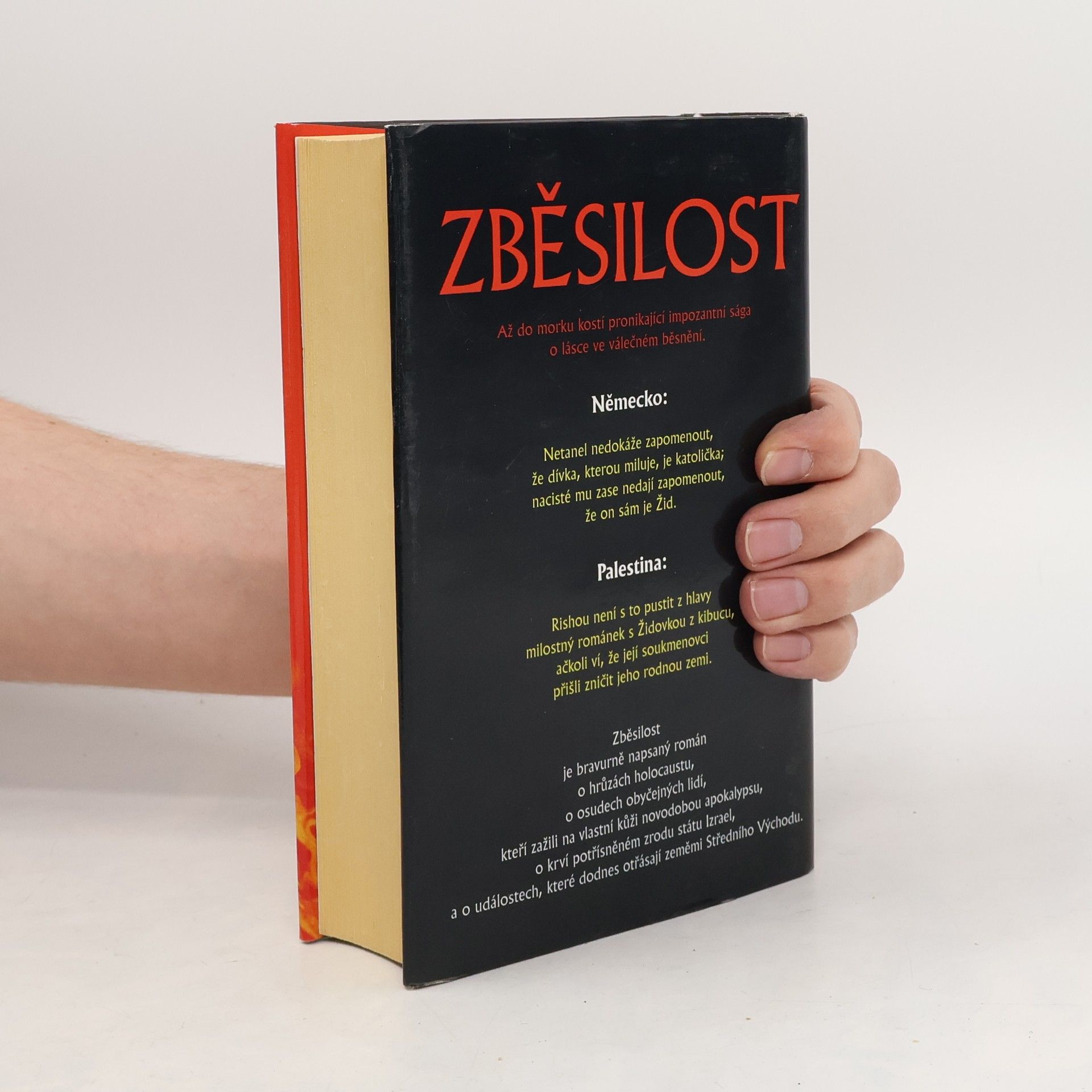 Colin Falconer Zběsilost