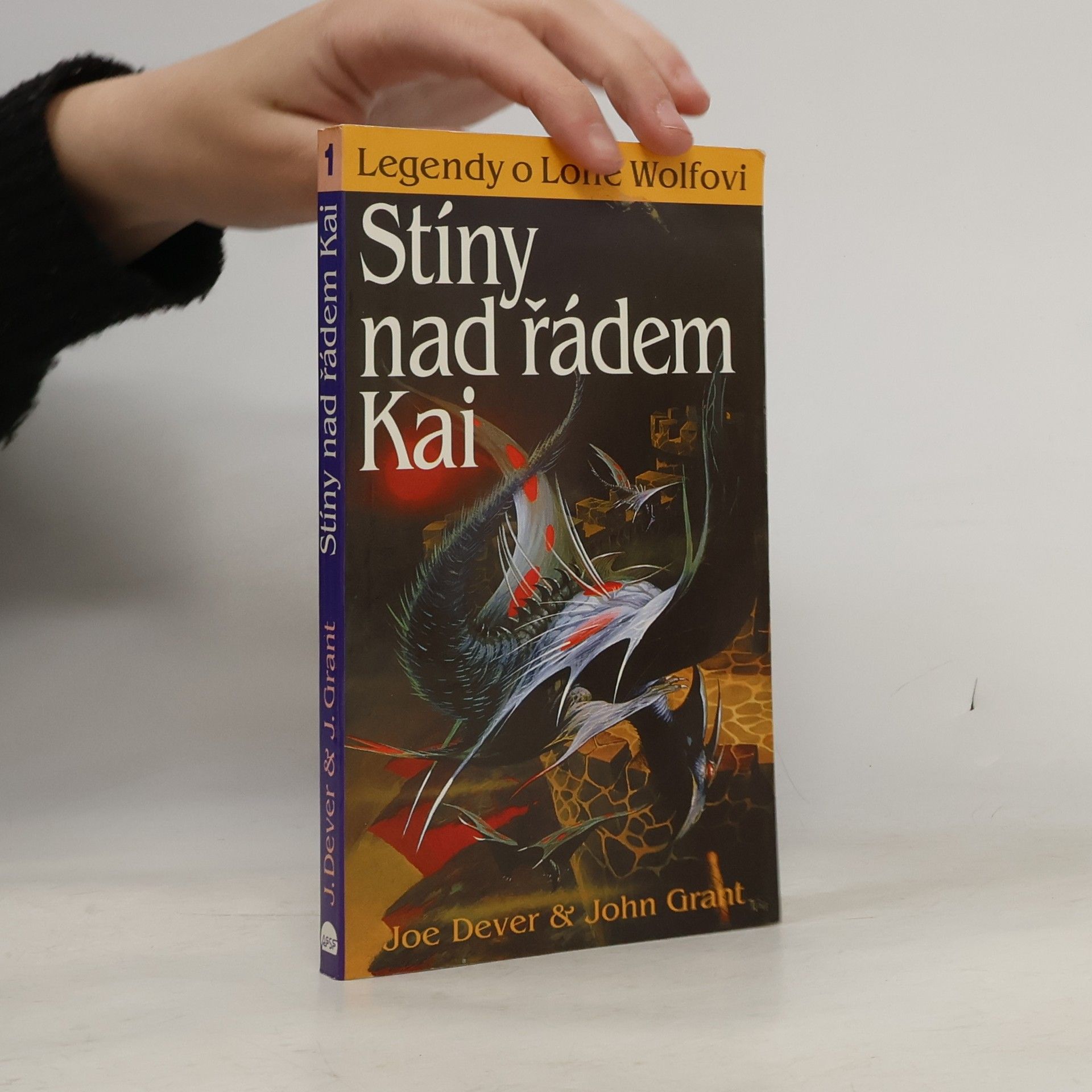 John Grant Stíny nad řádem Kai