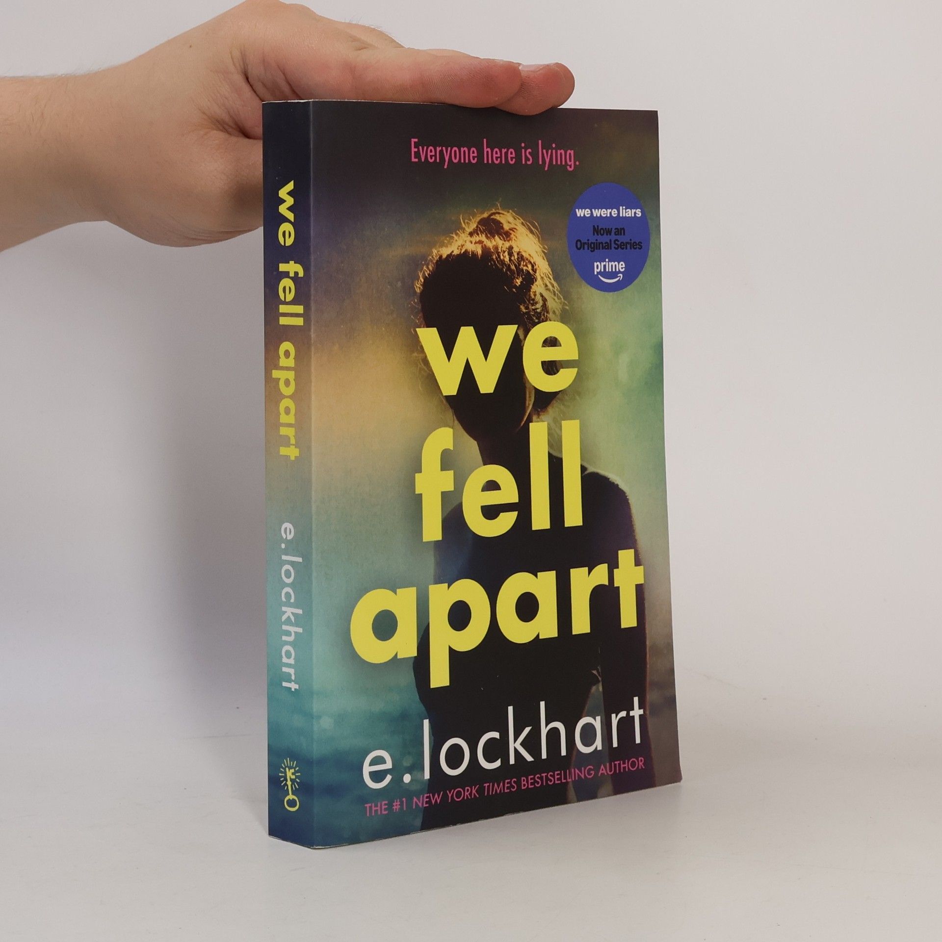 E. Lockhart We Fell Apart