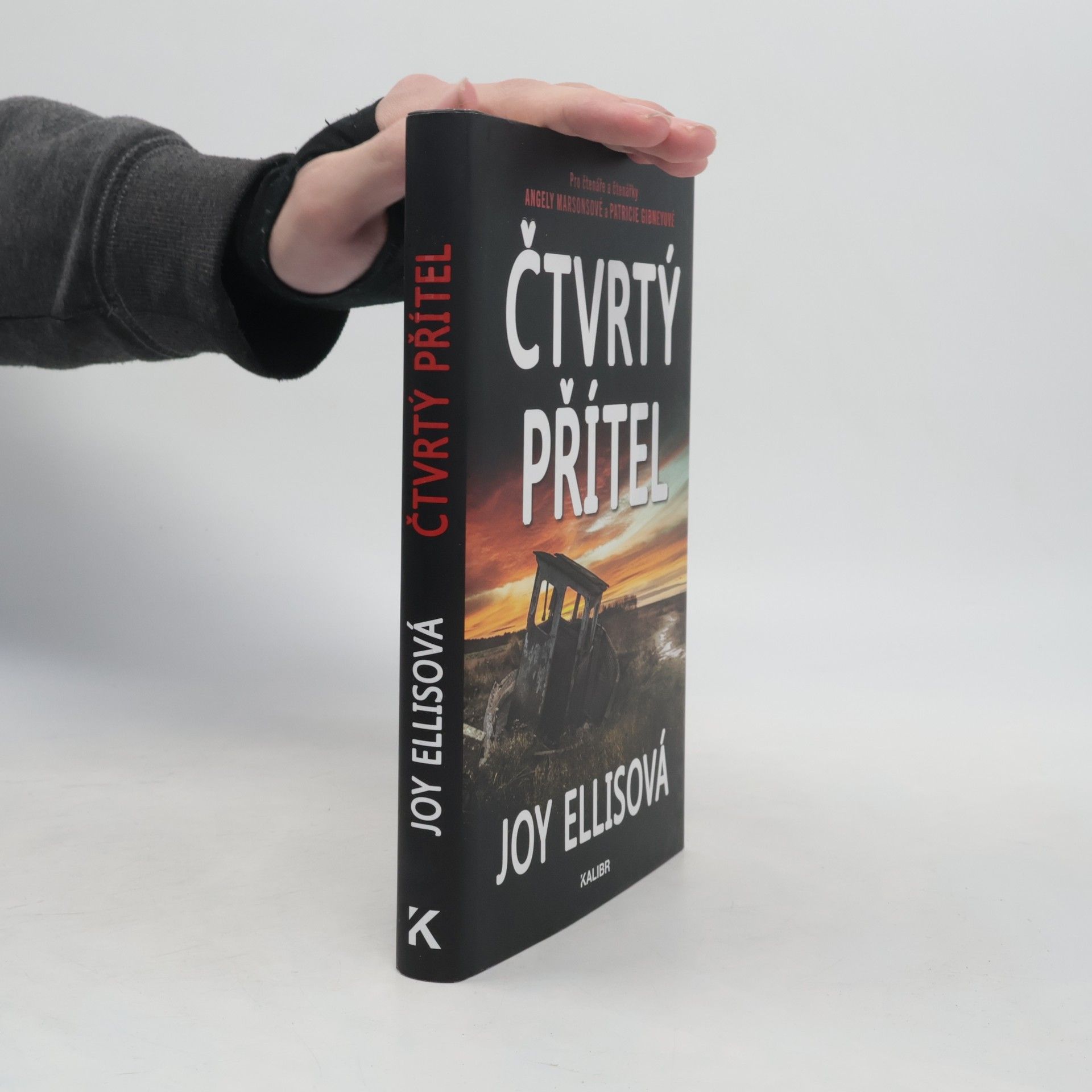 Joy Ellis Čtvrtý přítel