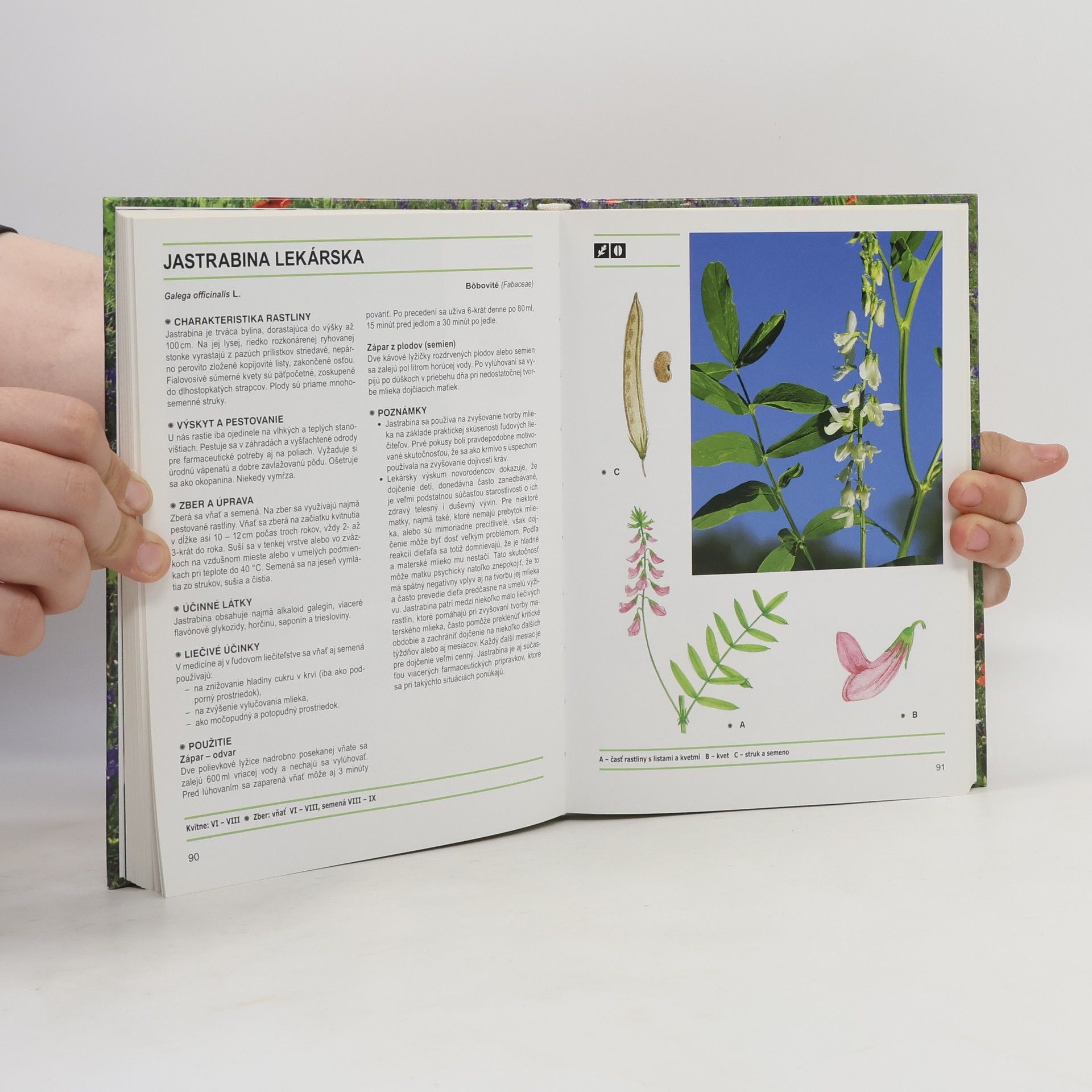 Ol ga Erdelská Atlas liečivých rastlín