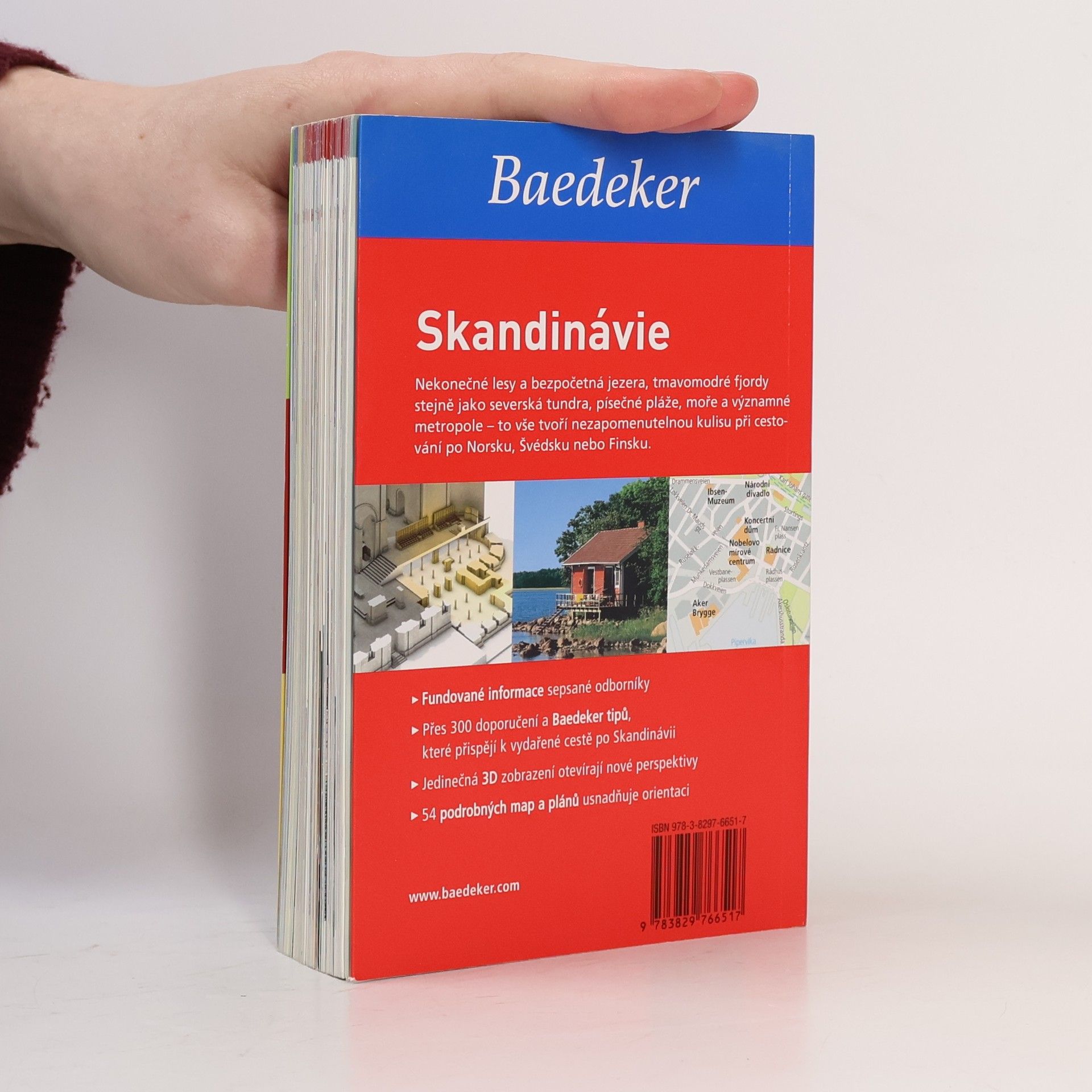 Autorenkollektiv Skandinávie