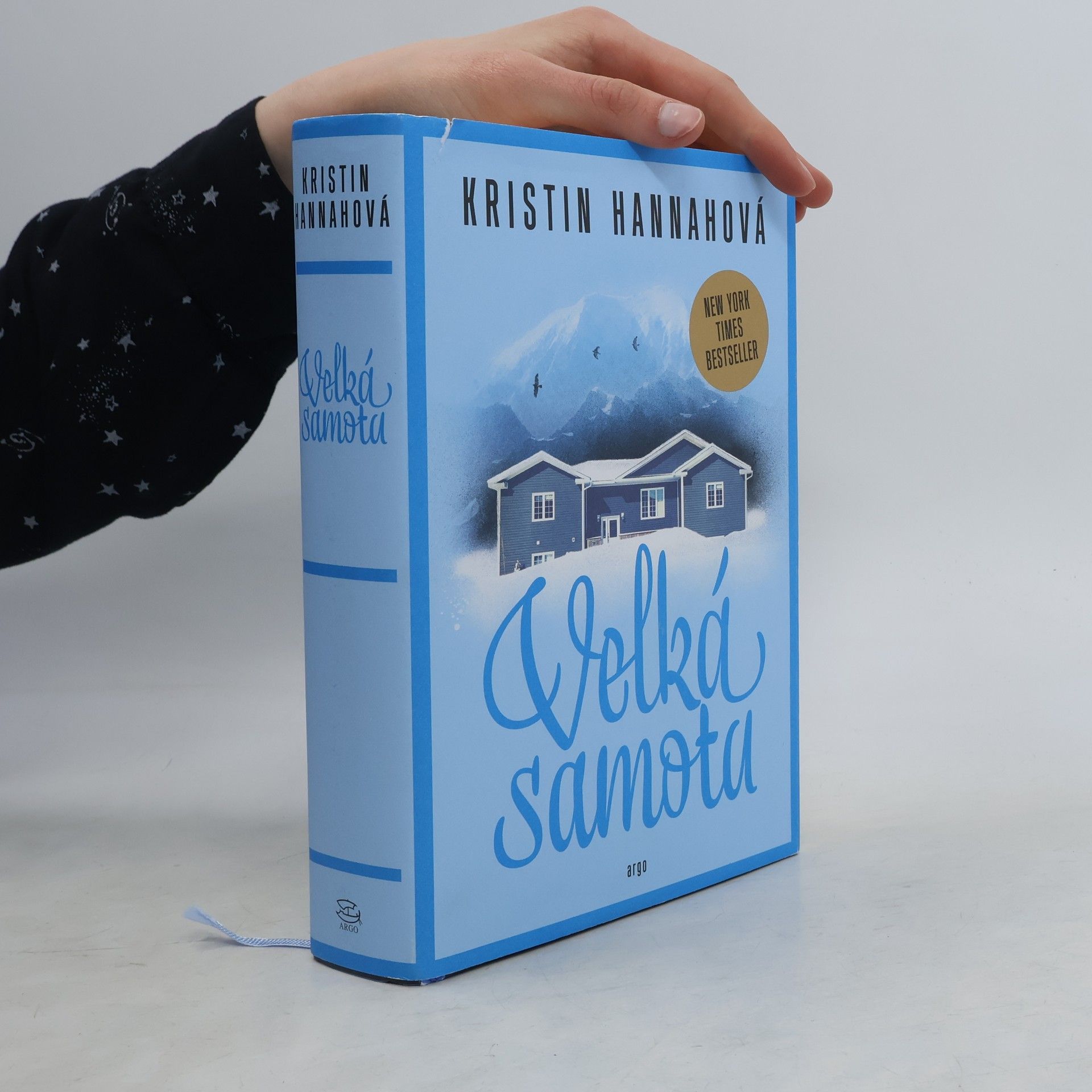 Kristin Hannah Velká samota