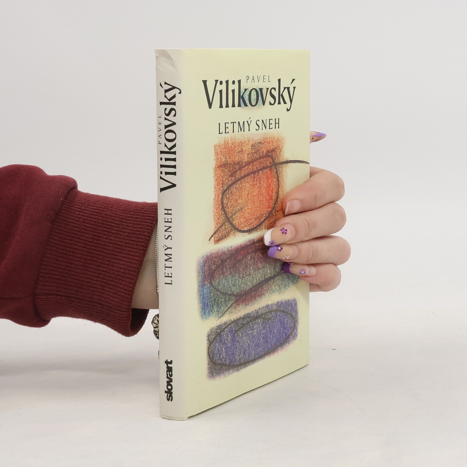 Pavel Vilikovský Letmý sneh