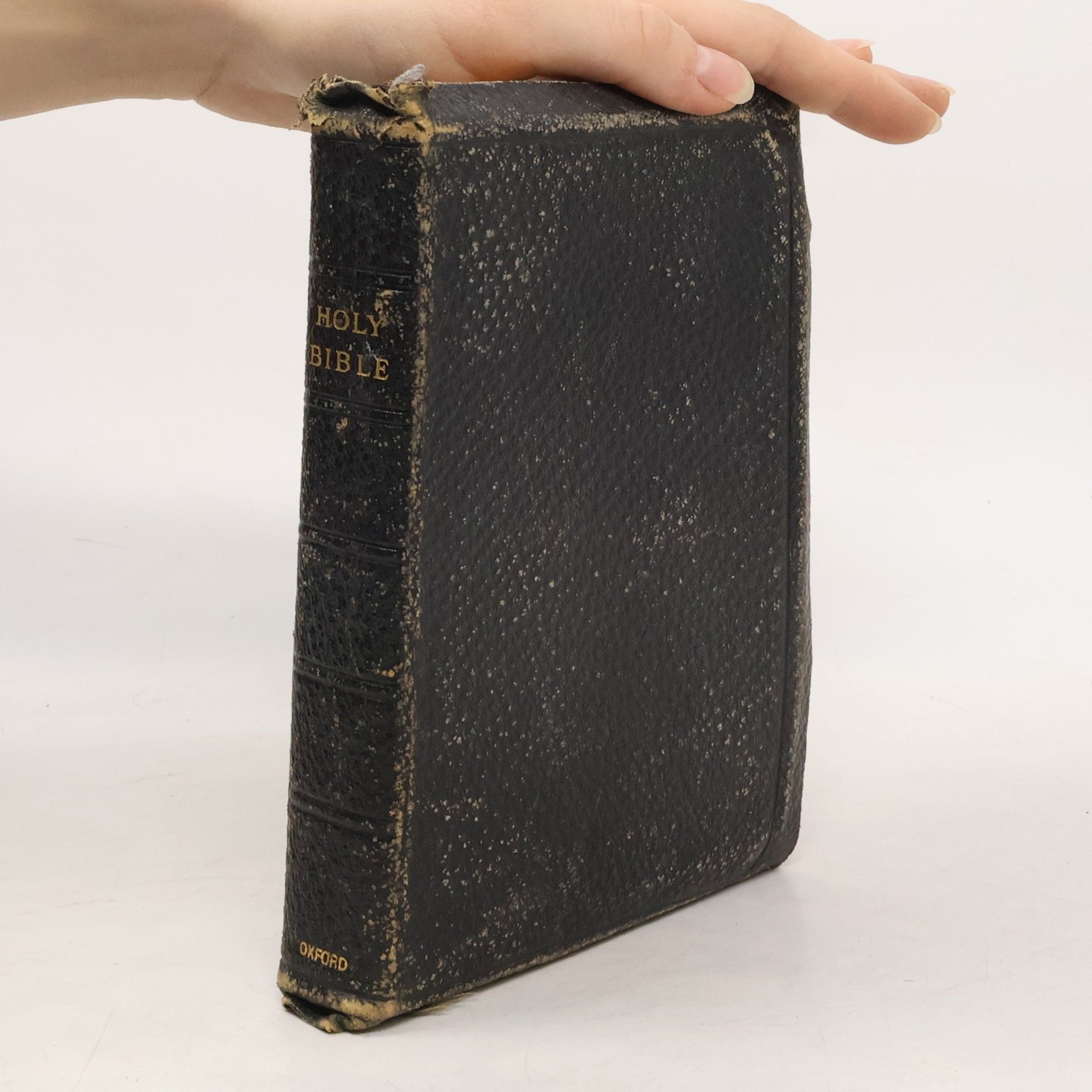 Kolektiv autorů The Holy Bible