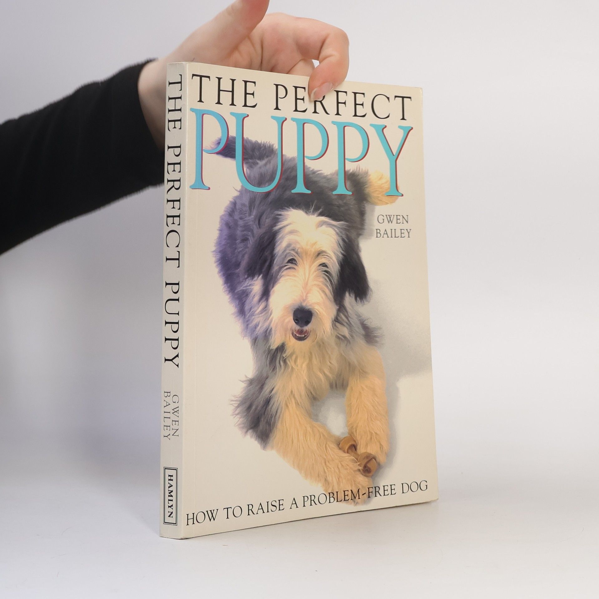 Gwen Bayley The Perfect Puppy