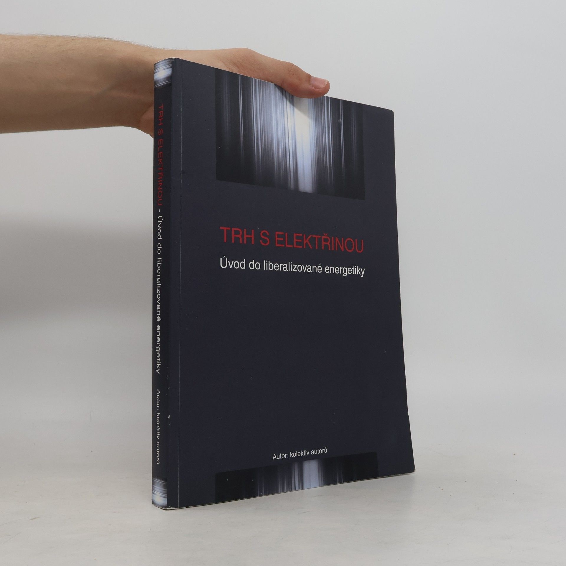 Various authors Trh s elektřinou : úvod do liberalizované energetiky