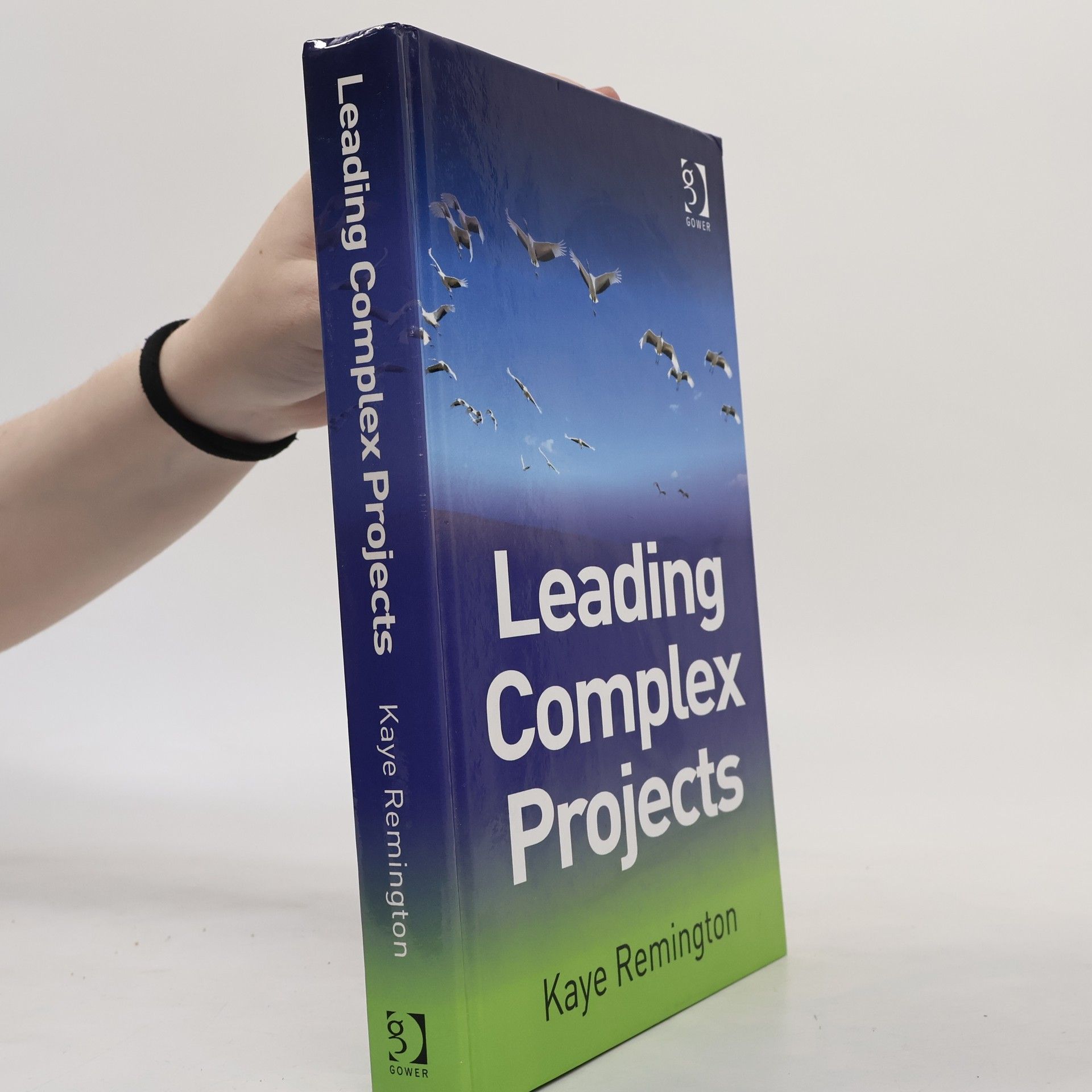 Kaye Remington Leading Complex Projects