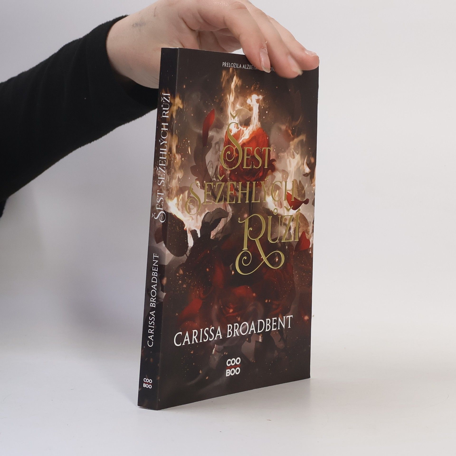 Carissa Broadbent Šest sežehlých růží