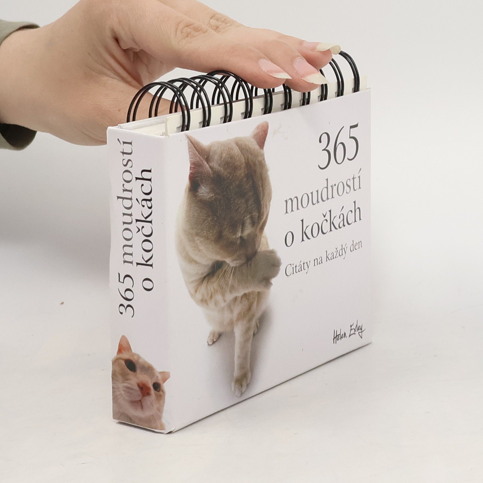 Helen Exley 365 moudrostí o kočkách : citáty na každý den