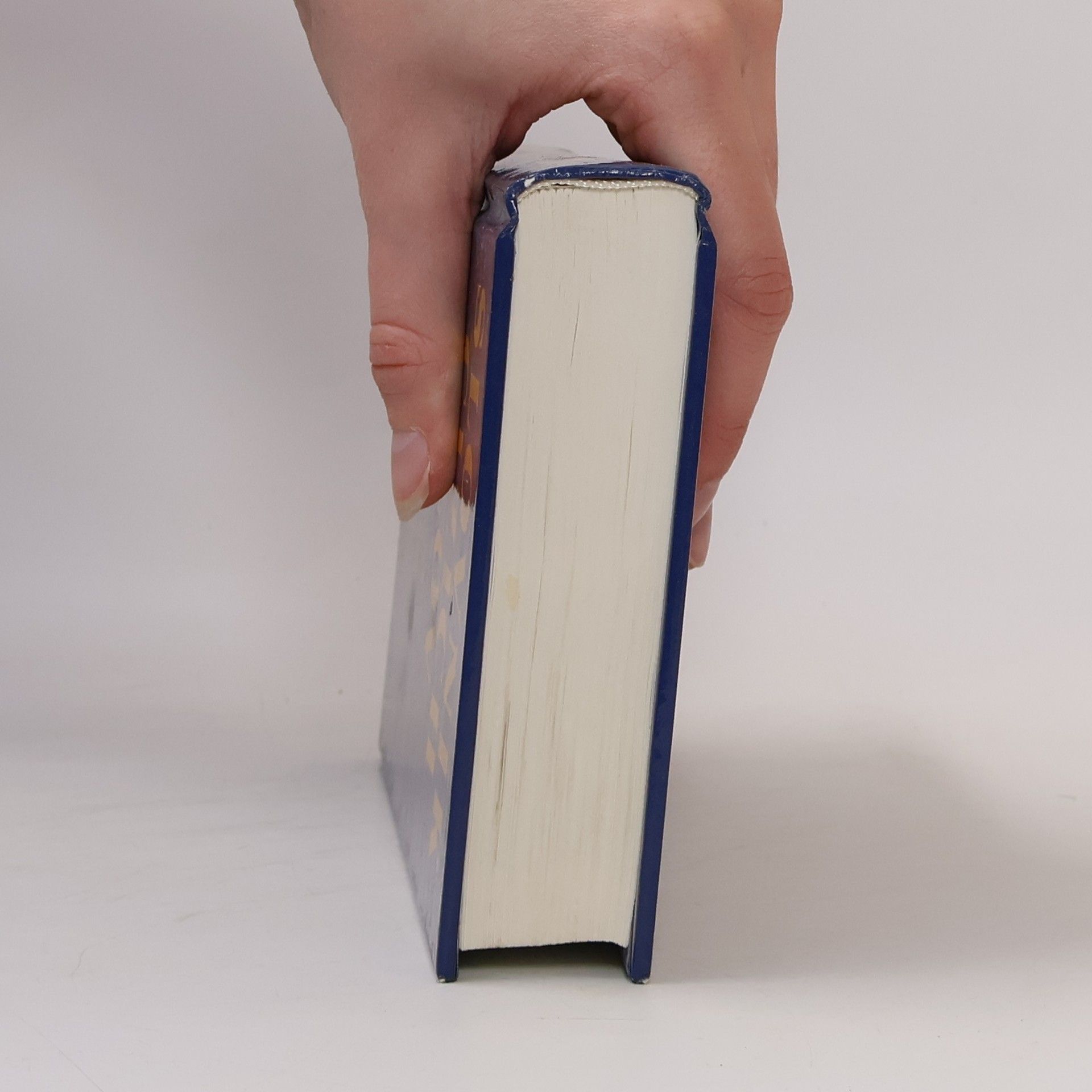 Various authors Slovník cizích slov