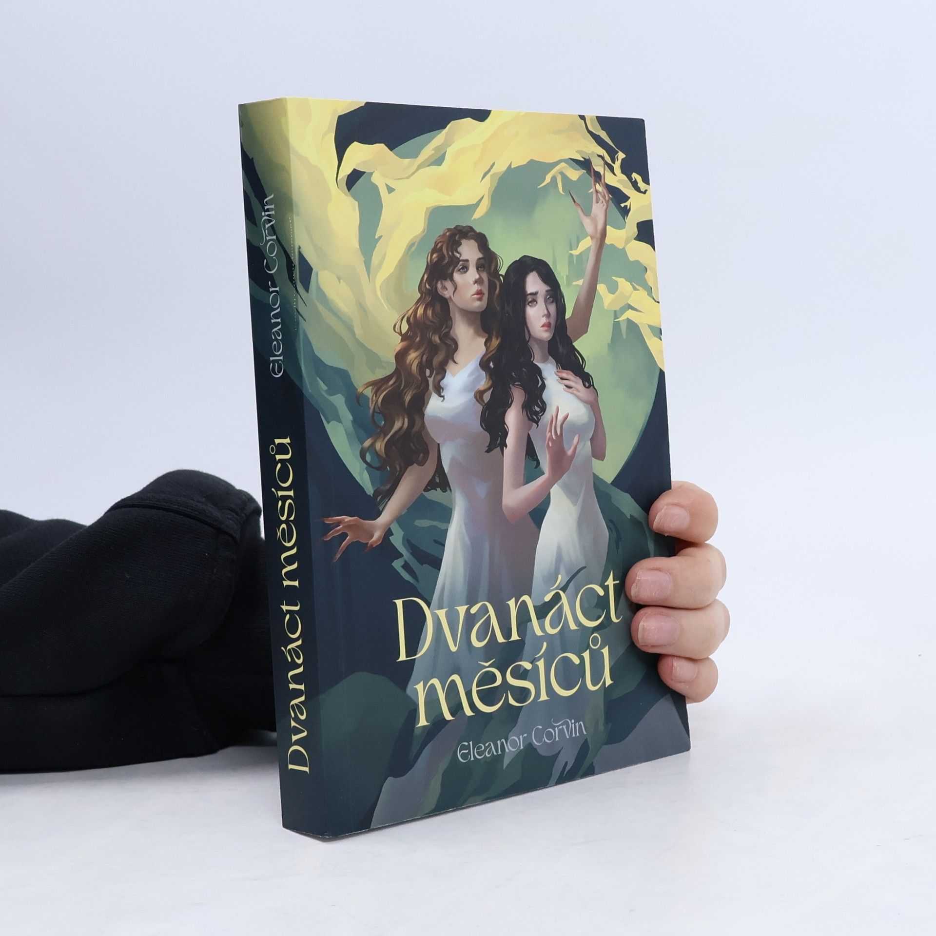Eleanor Corvin Dvanáct měsíců