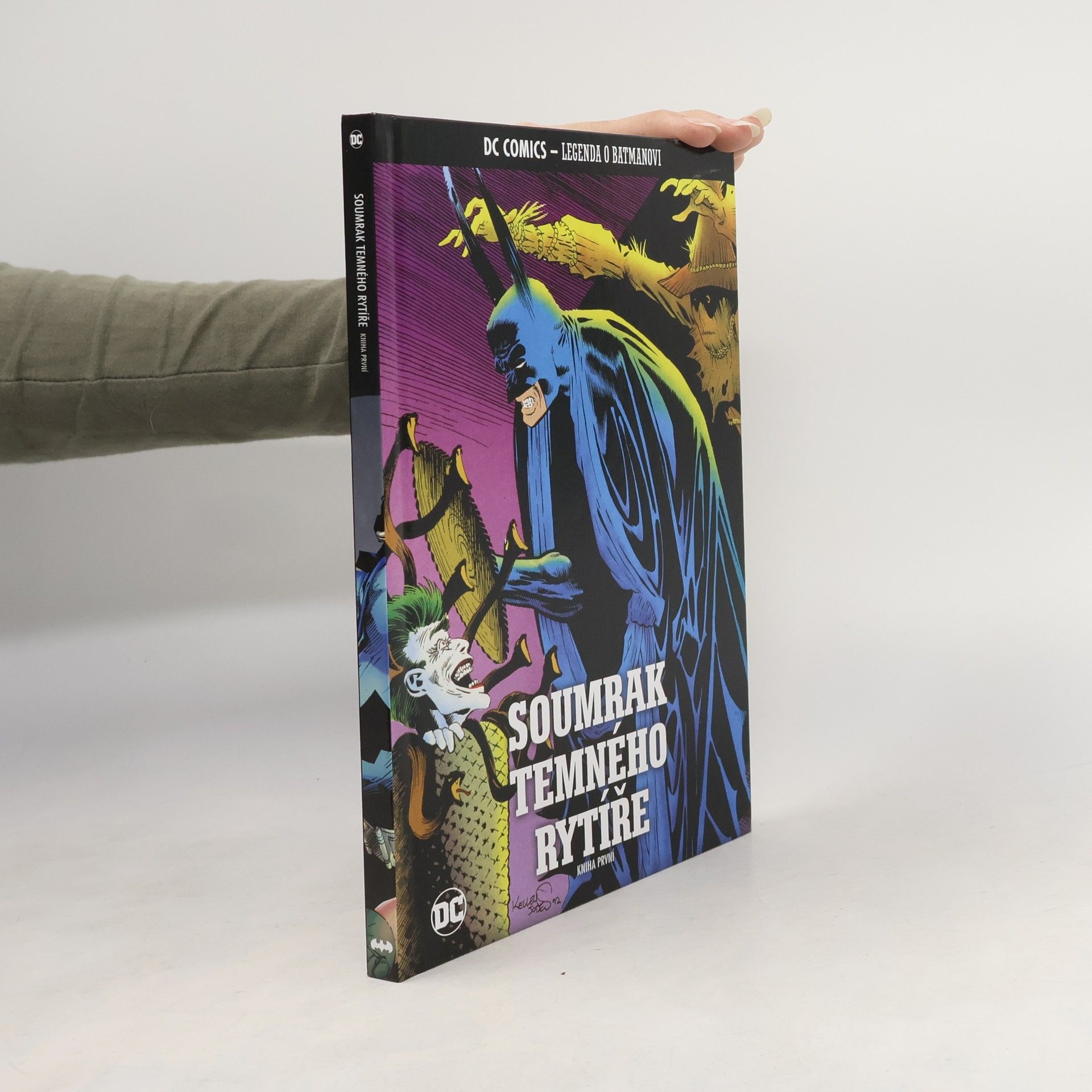 Autorenkollektiv Soumrak temného rytíře. Kniha první